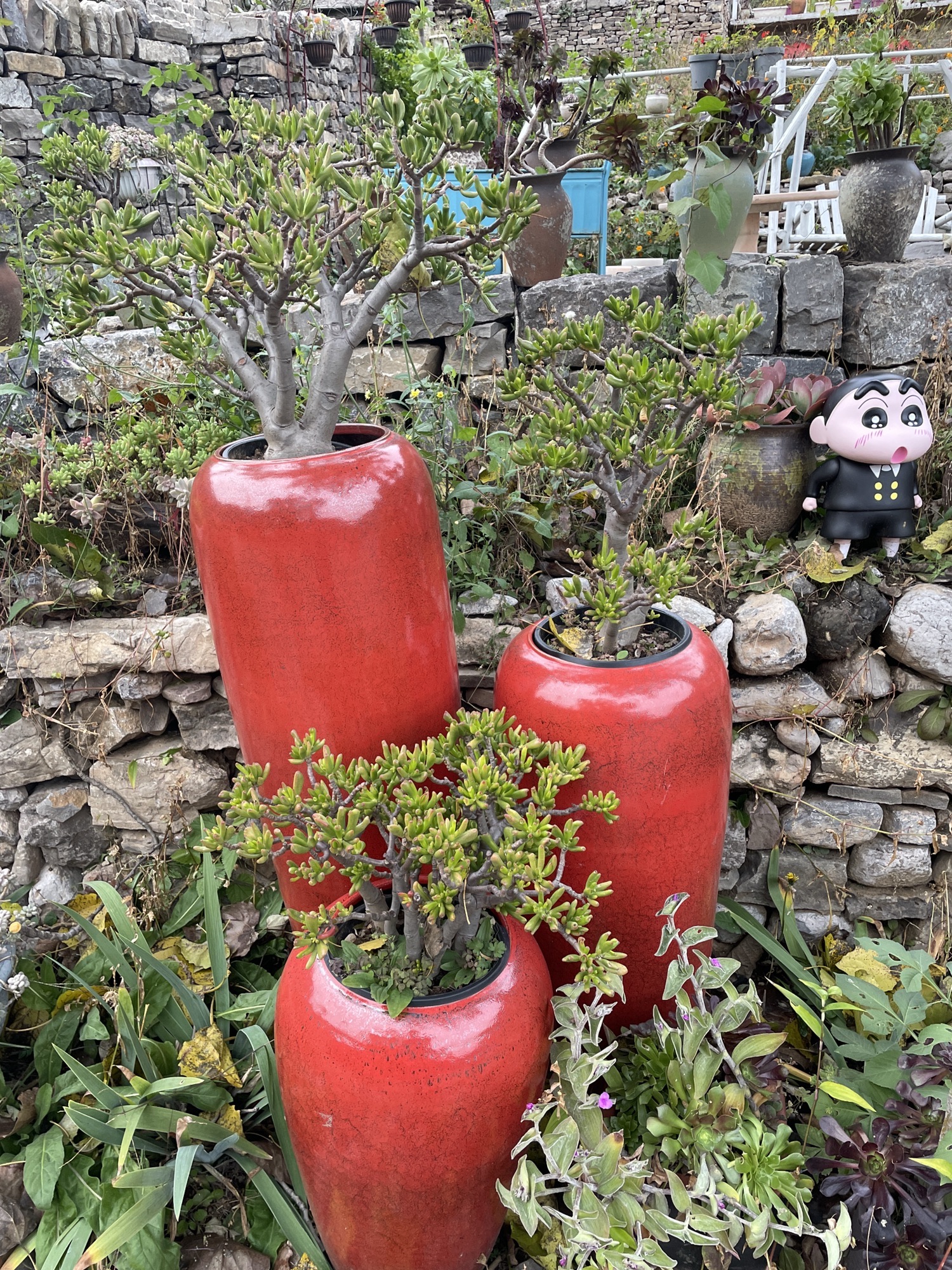 玛丽空中花园旅行图片 1