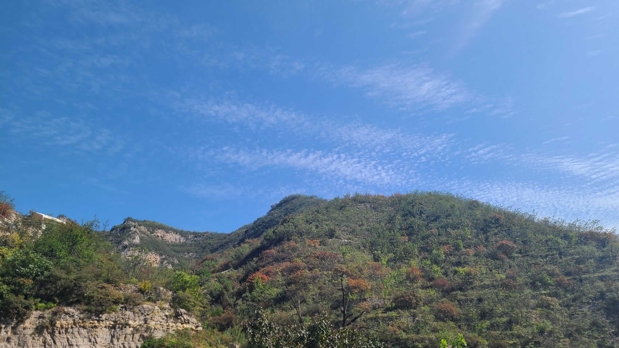 玛丽空中花园旅行图片 3