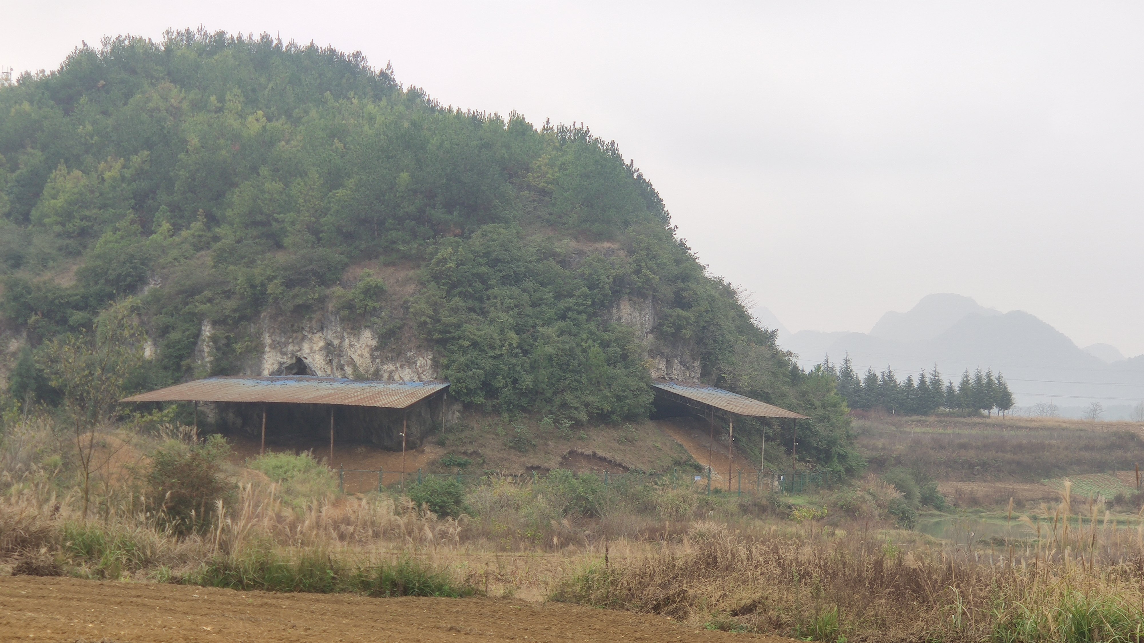 牛坡洞遗址旅行图片 2