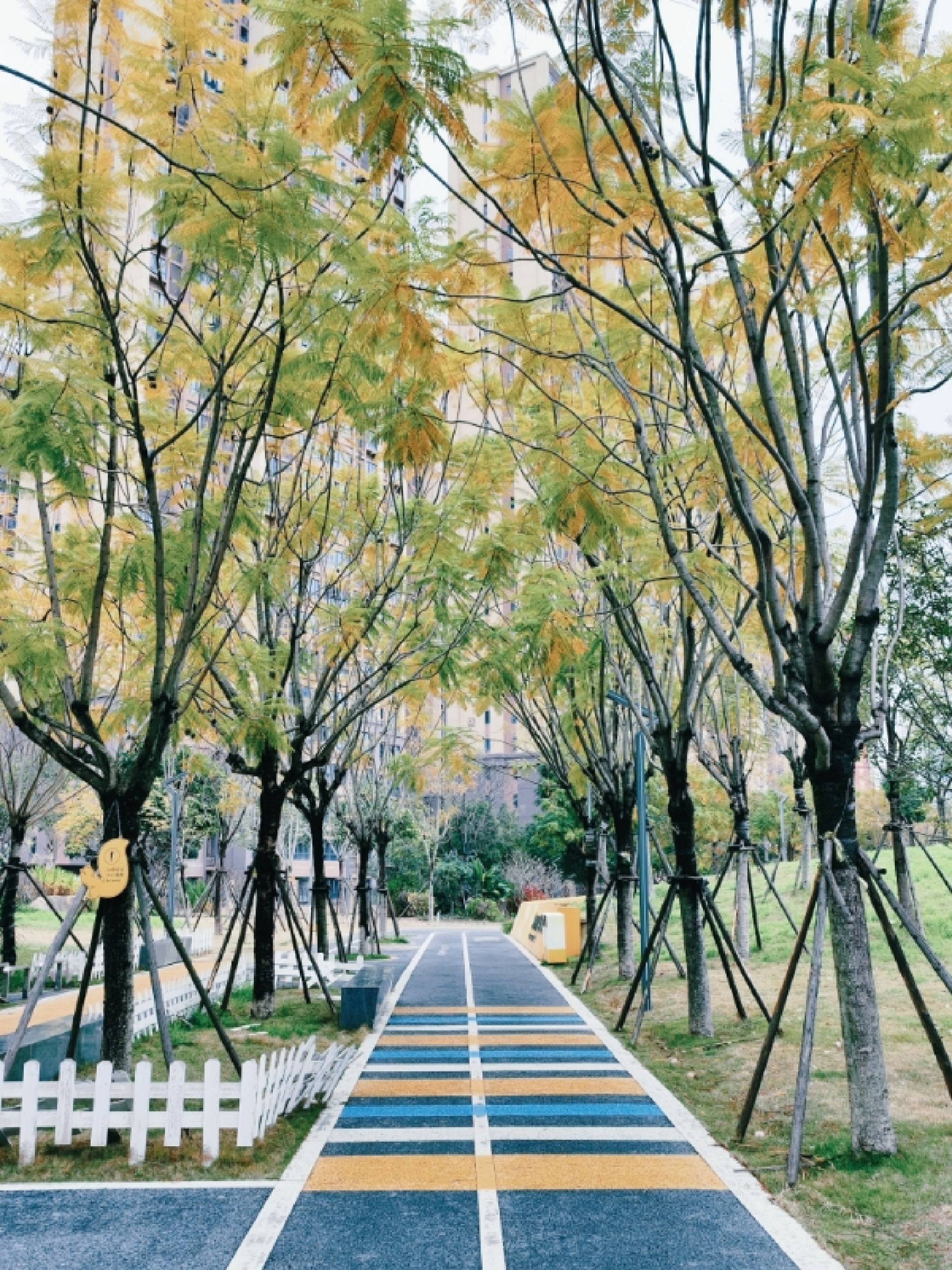 福州高新区黄风车公园旅行图片 1