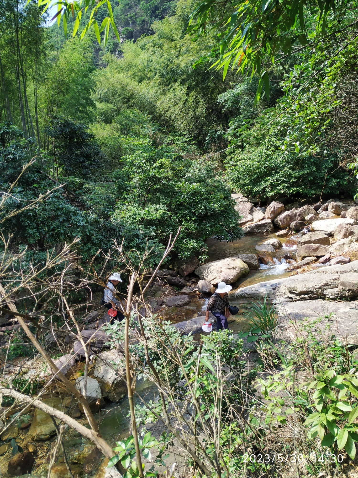 杀人寨瀑布旅行图片 1