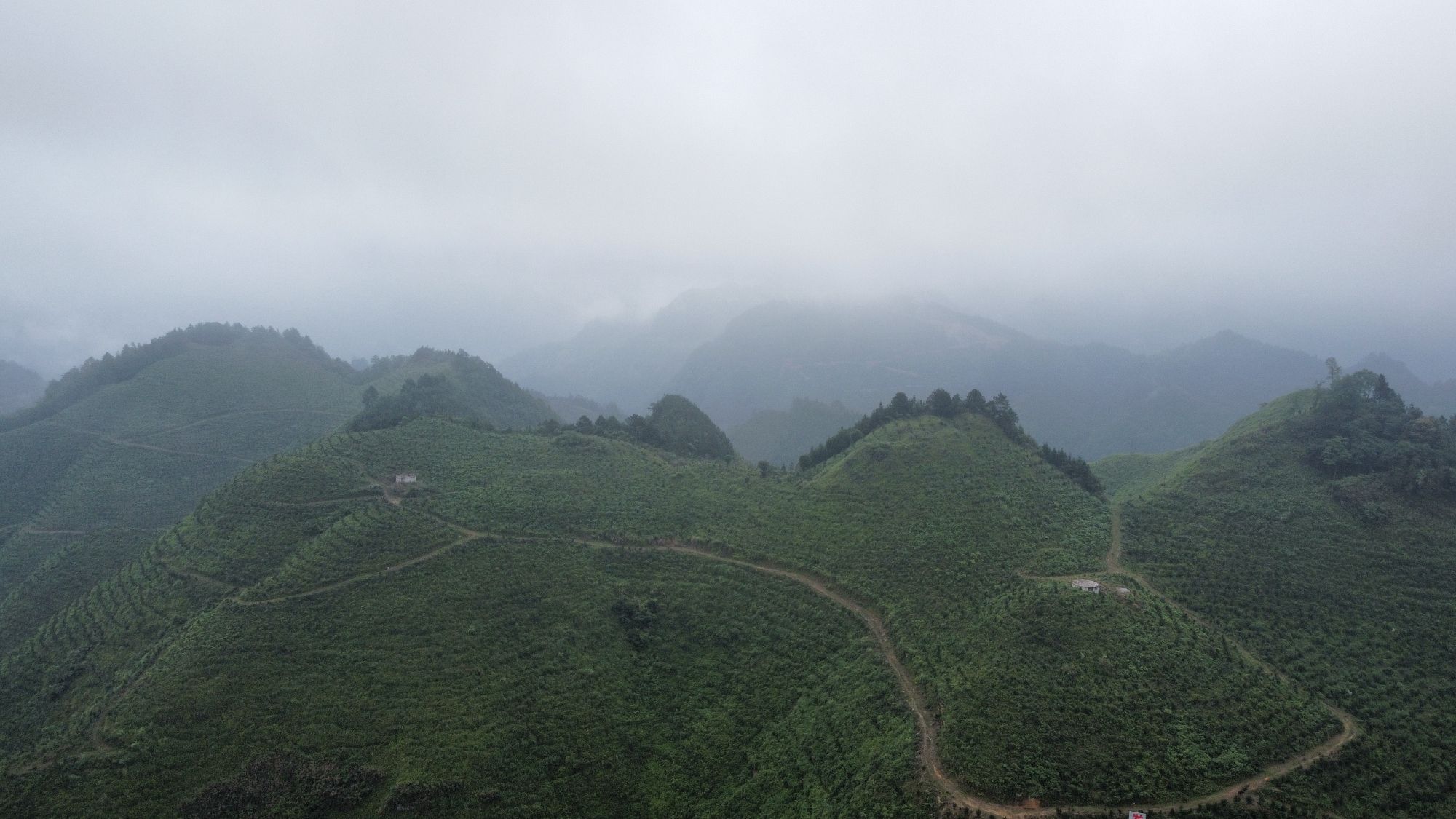 云观天观景台旅行图片 3