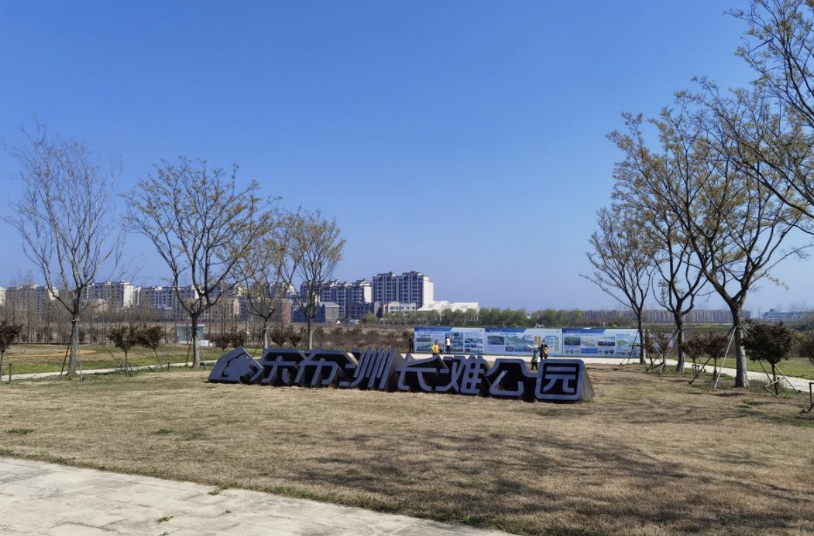 东布洲长滩公园旅行图片 2