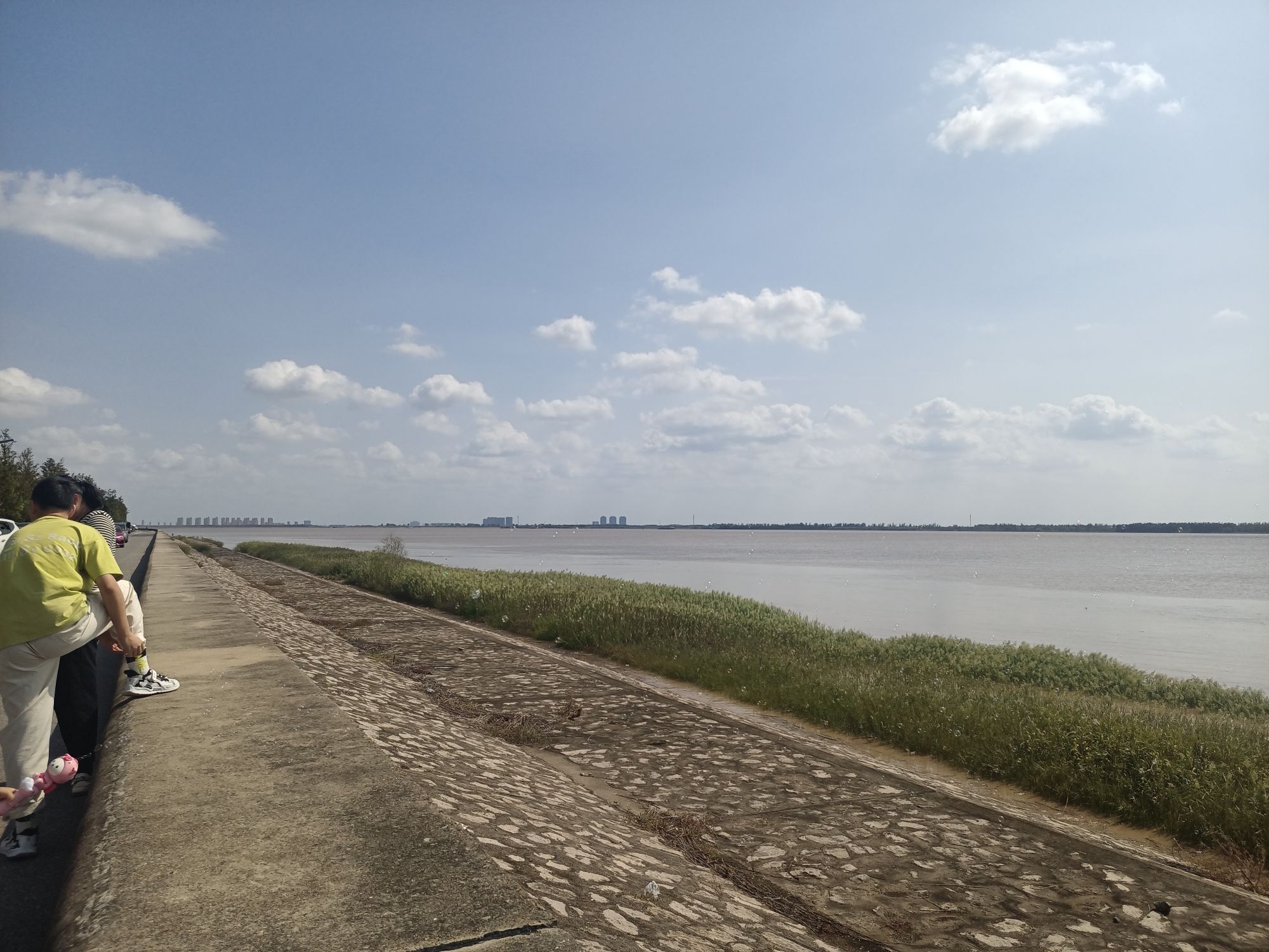 东布洲长滩公园旅行图片 3