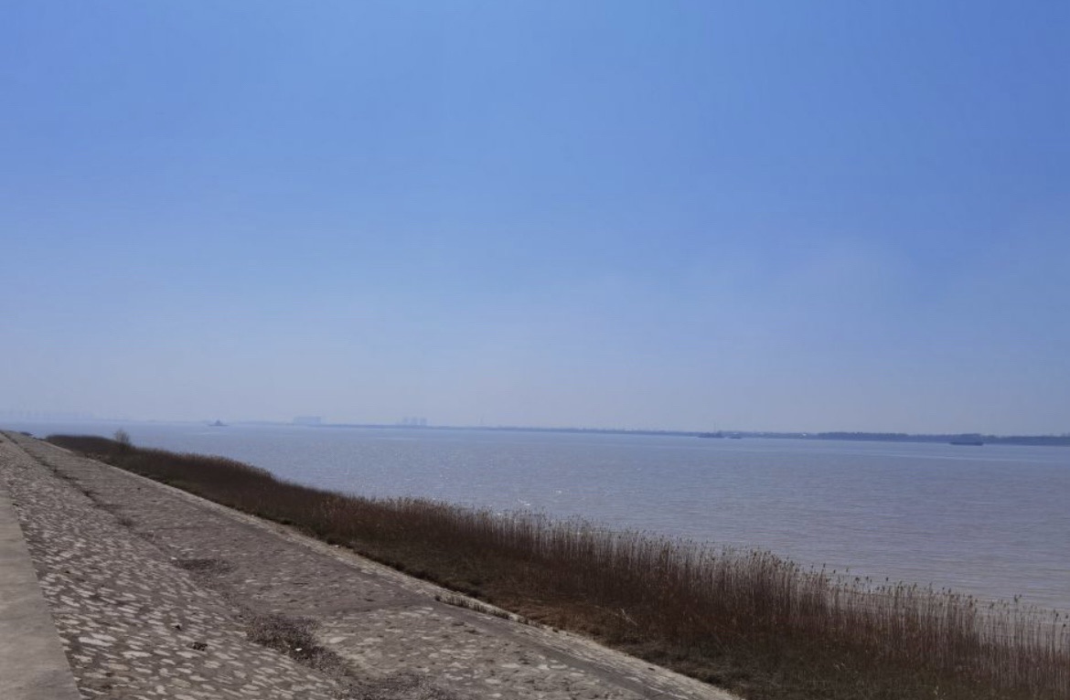 东布洲长滩公园旅行图片 3