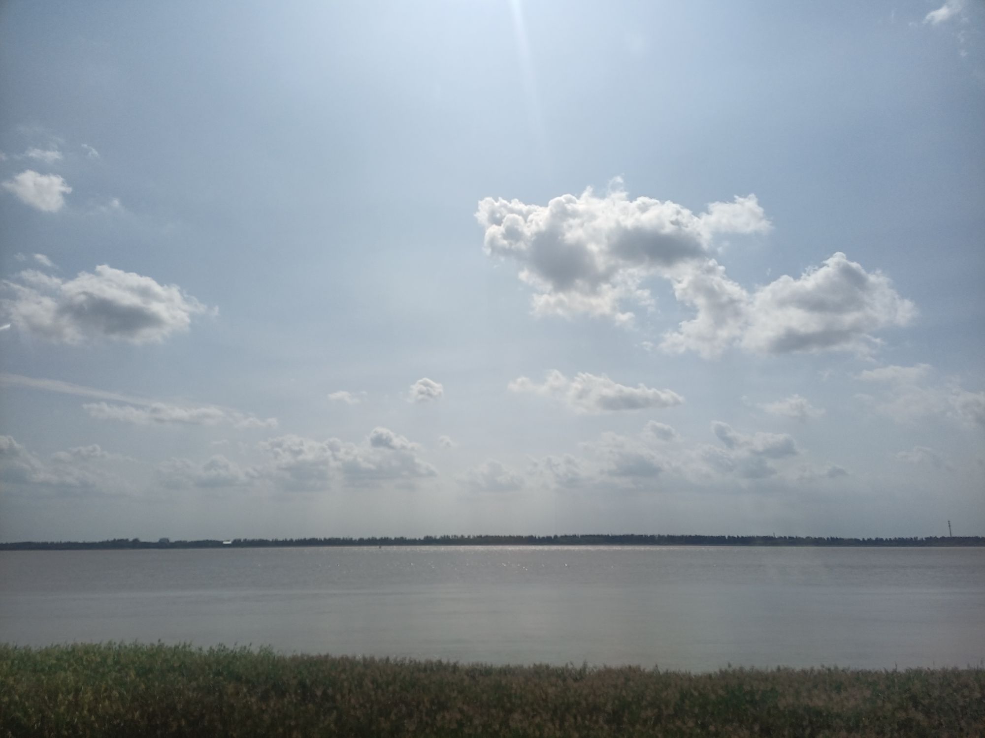 东布洲长滩公园旅行图片 1