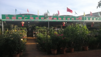 五源河广场植物观赏园丽苑园艺