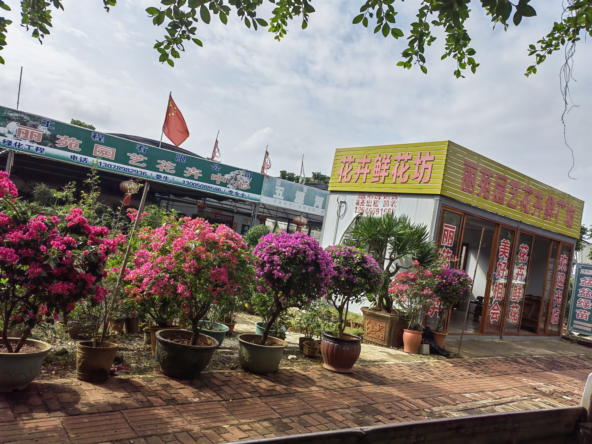 五源河广场植物观赏园丽苑园艺