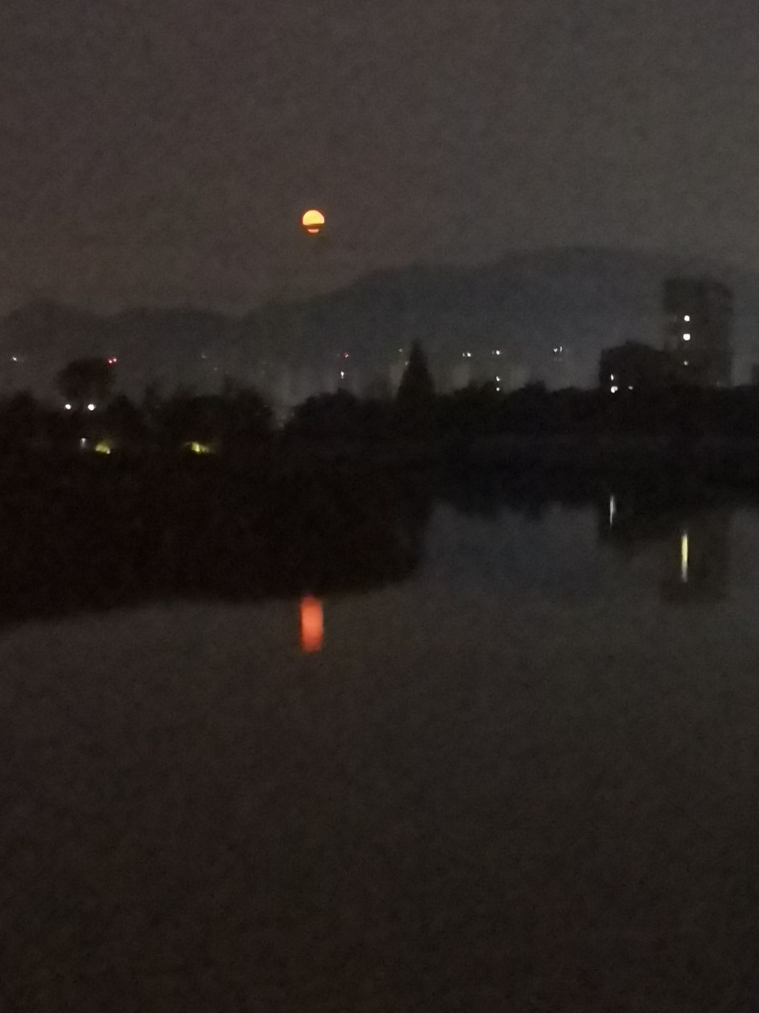 阳陂湖旅行图片 3