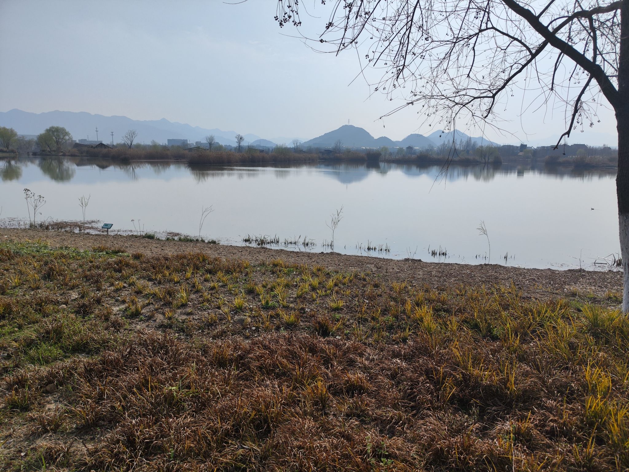 阳陂湖旅行图片 1
