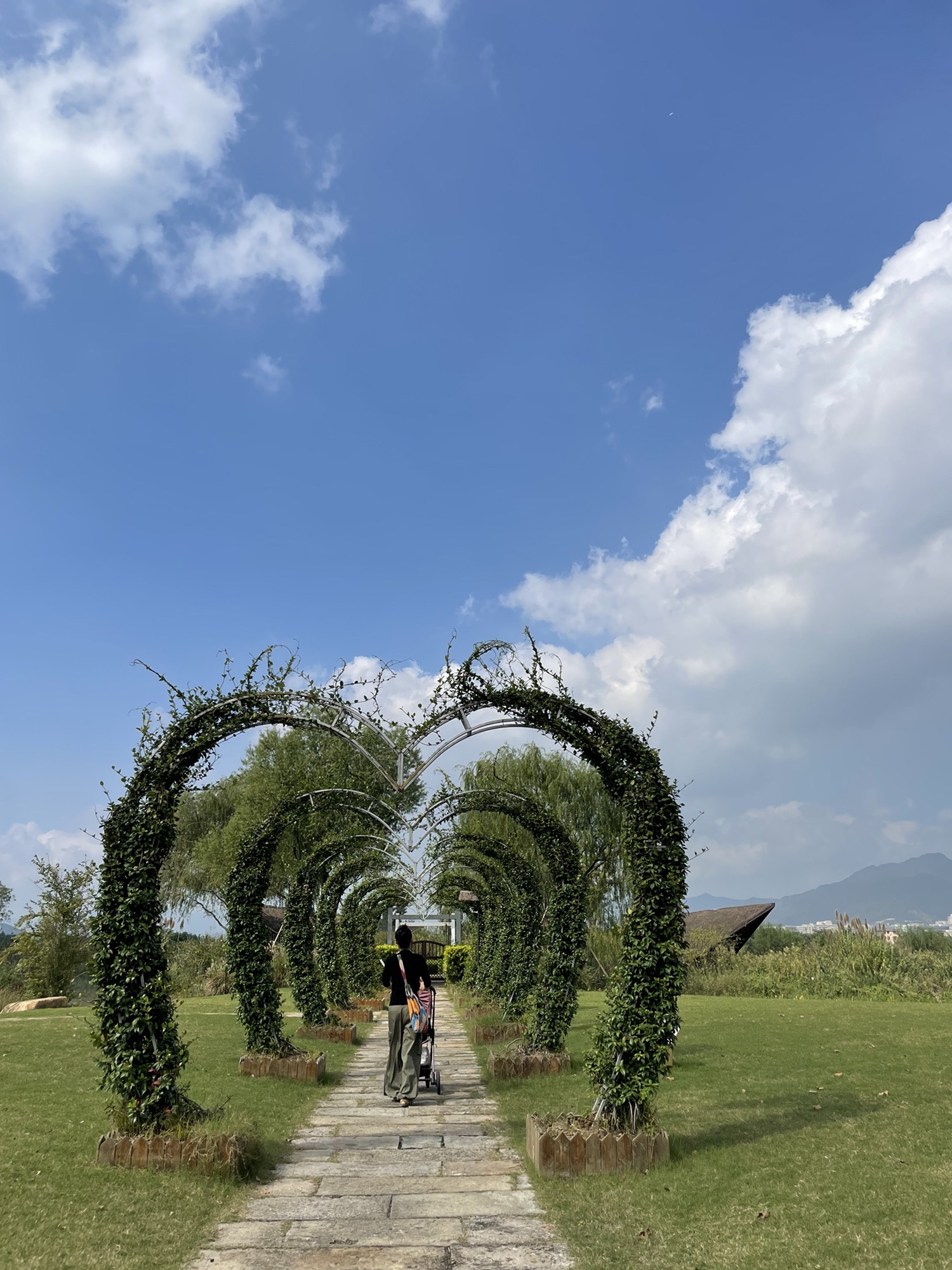 阳陂湖旅行图片 2