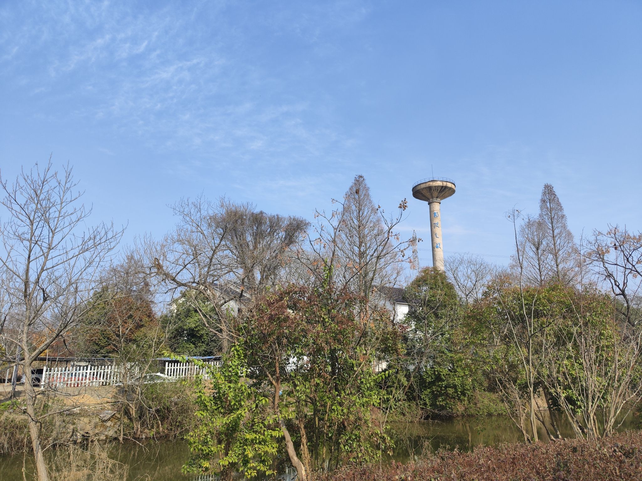 阳陂湖旅行图片 2