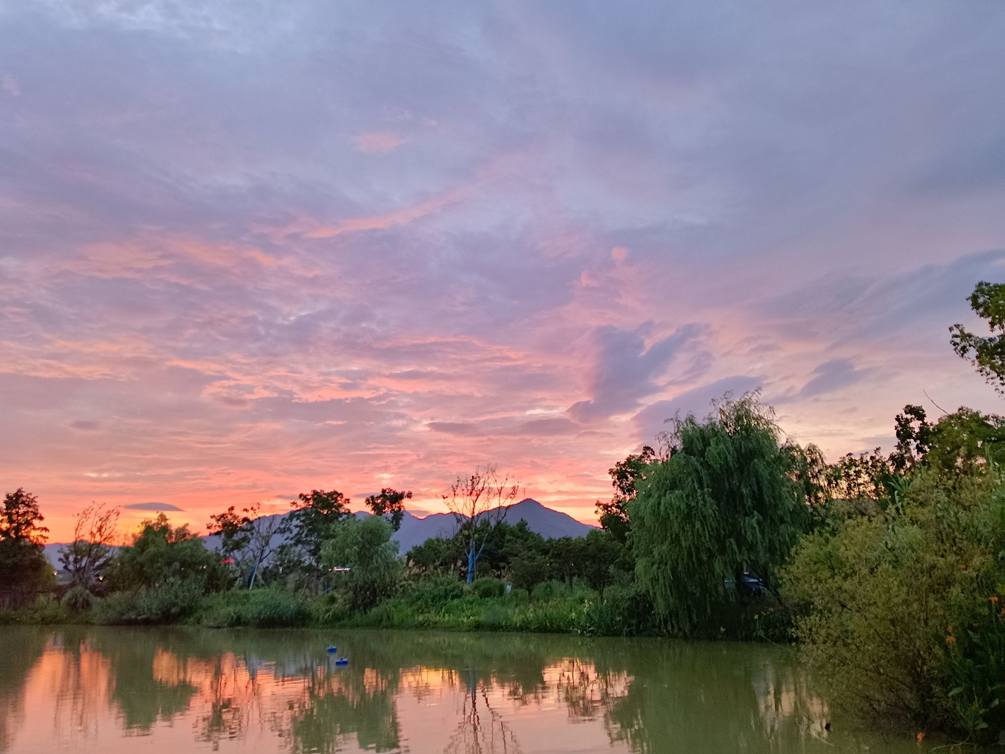 阳陂湖旅行图片 2