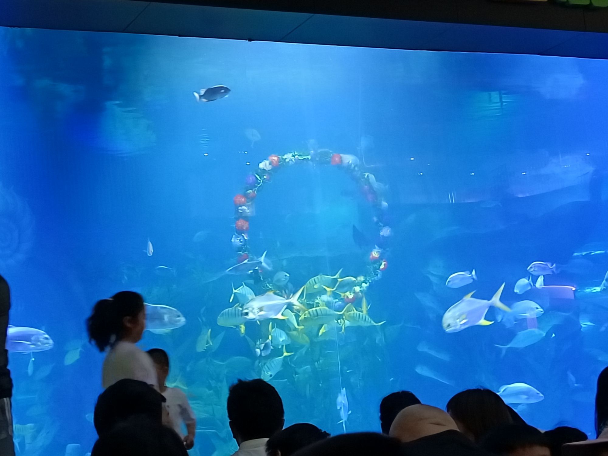 滨州海底世界旅行图片 2