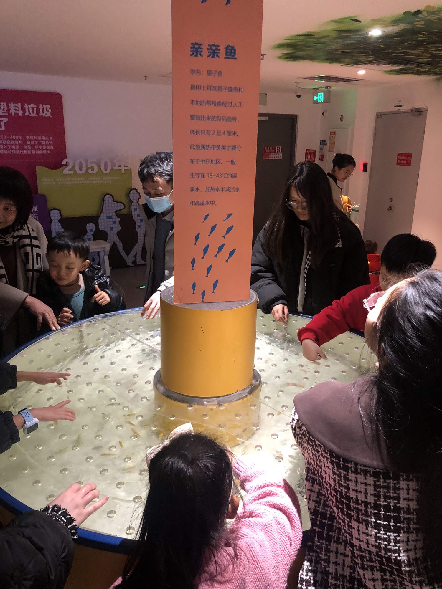 滨州海底世界旅行图片 2