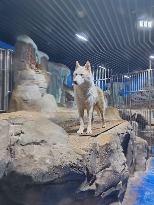 滨州海底世界旅行图片 2