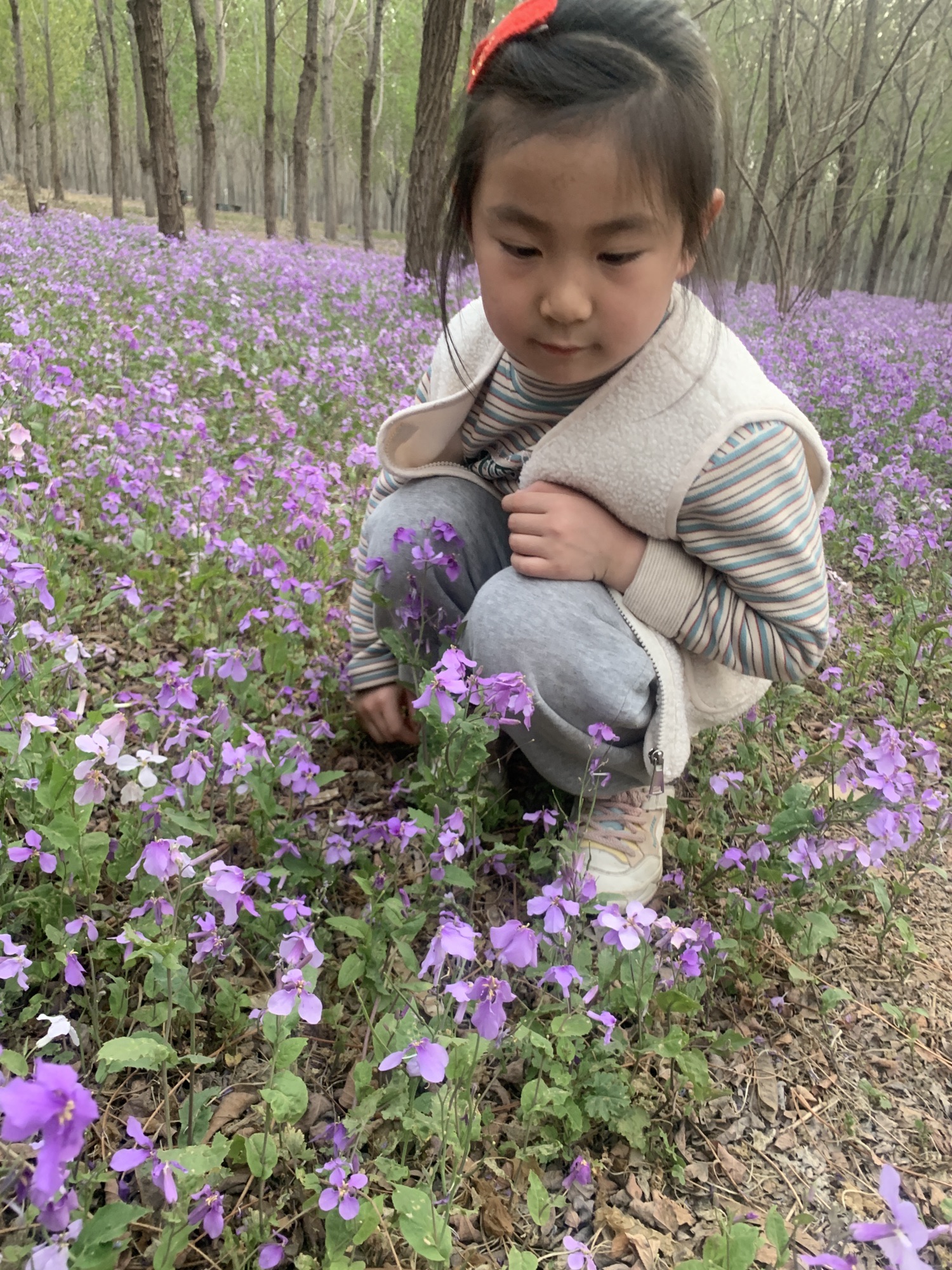 郊野公园旅行图片 3