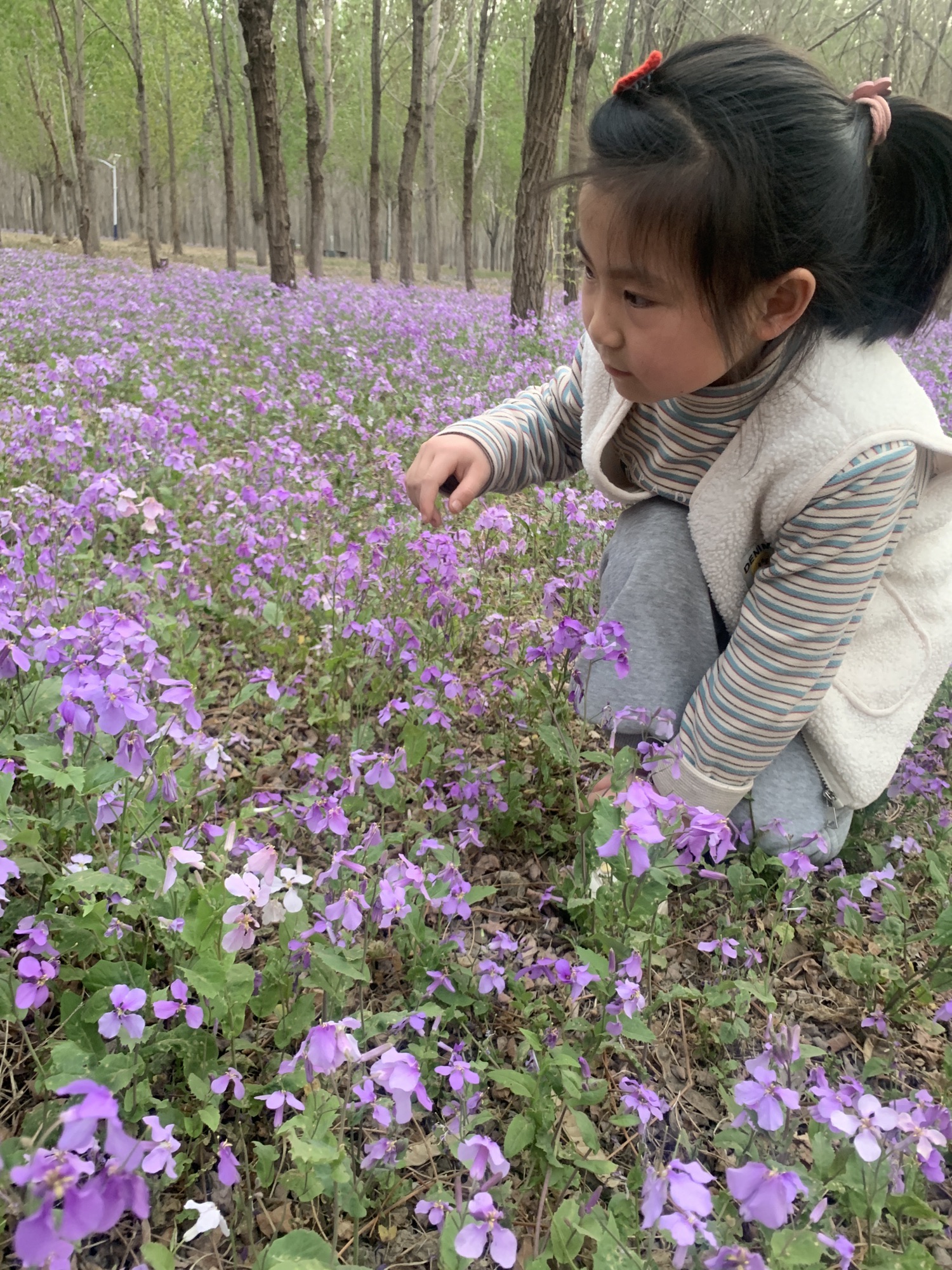 郊野公园旅行图片 2