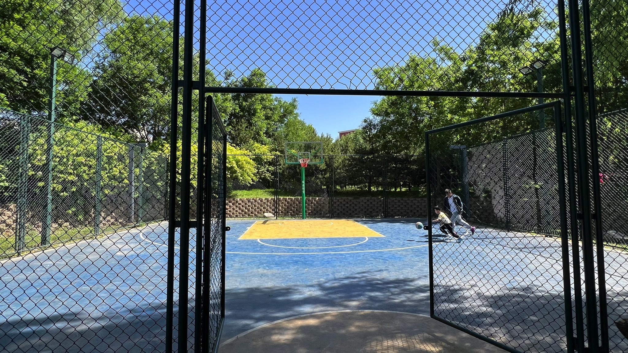 蓝靛厂公园旅行图片 2