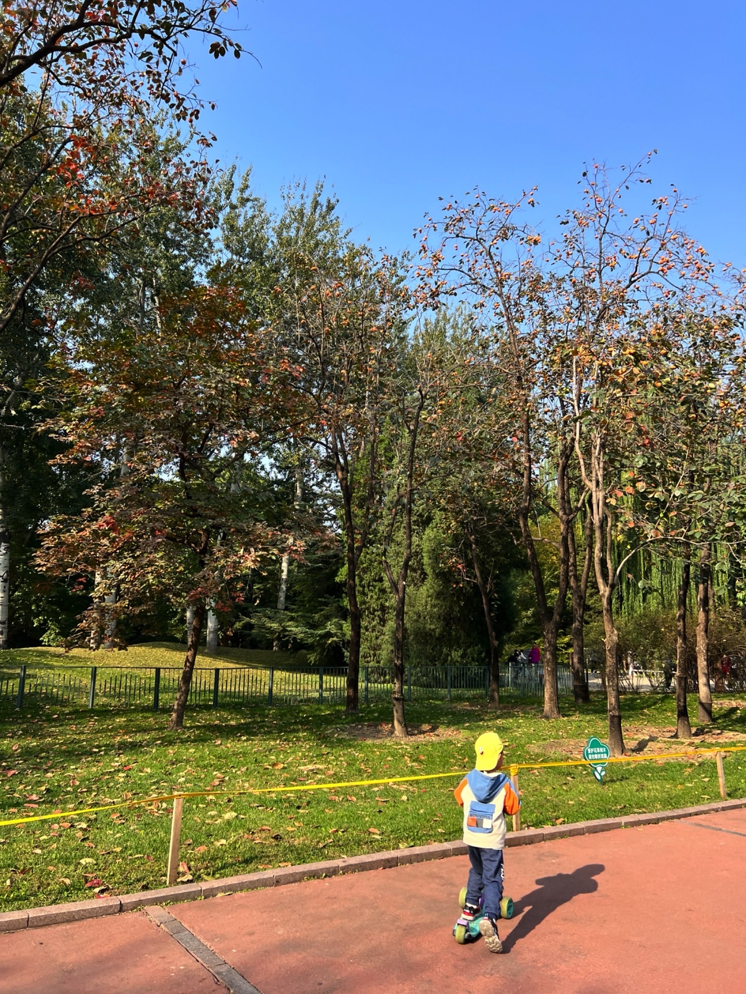 蓝靛厂公园旅行图片 1