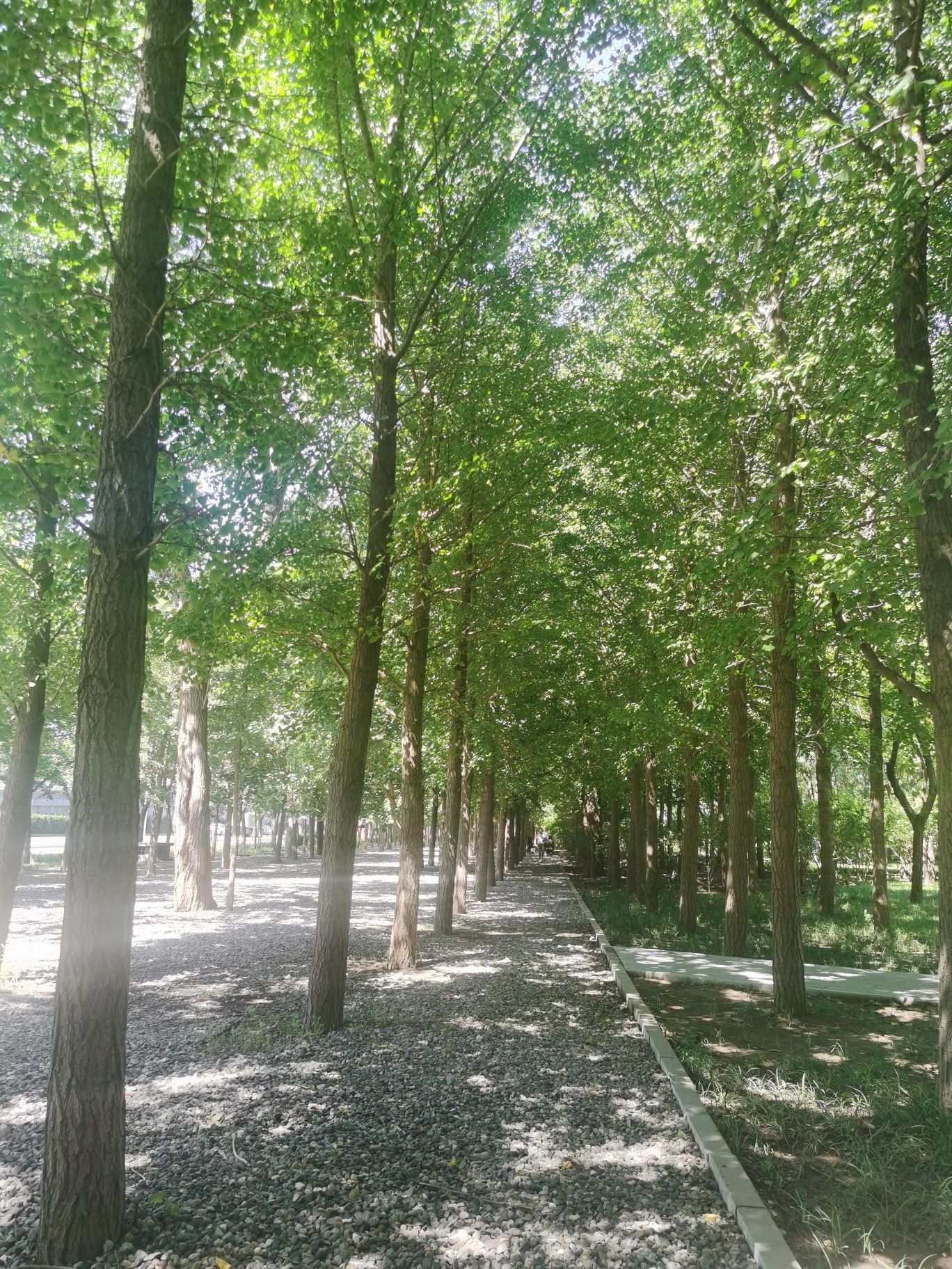 蓝靛厂公园旅行图片 1