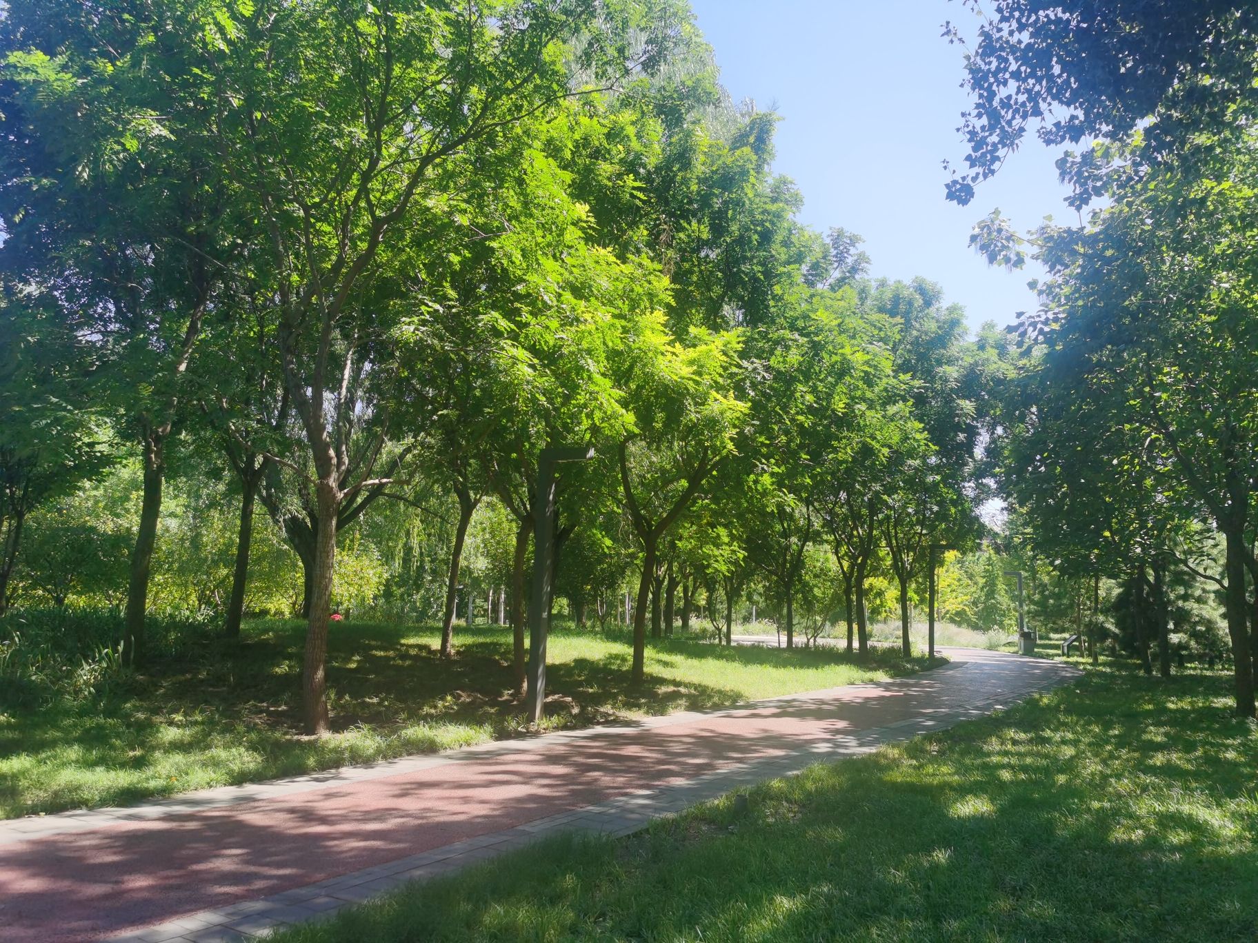 蓝靛厂公园旅行图片 2