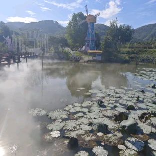 四会桔子景区旅行图片 3