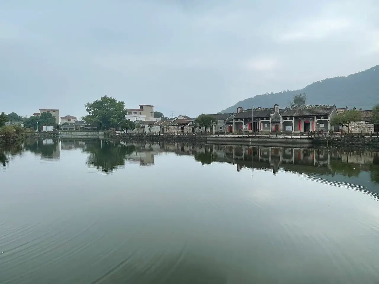 四会桔子景区旅行图片 3