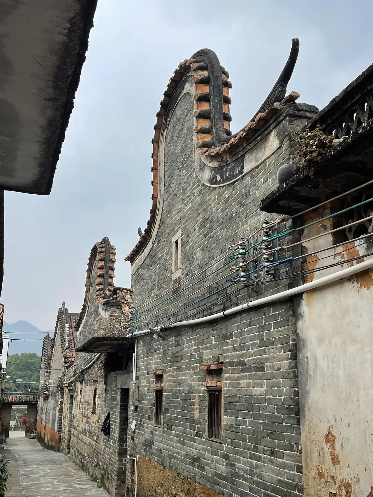 四会桔子景区旅行图片 2