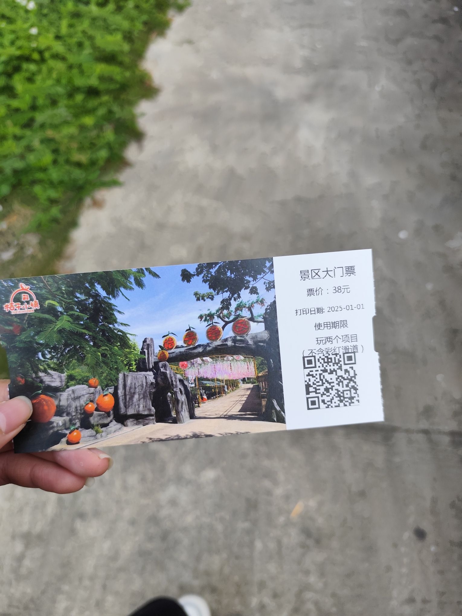 四会桔子景区旅行图片 1