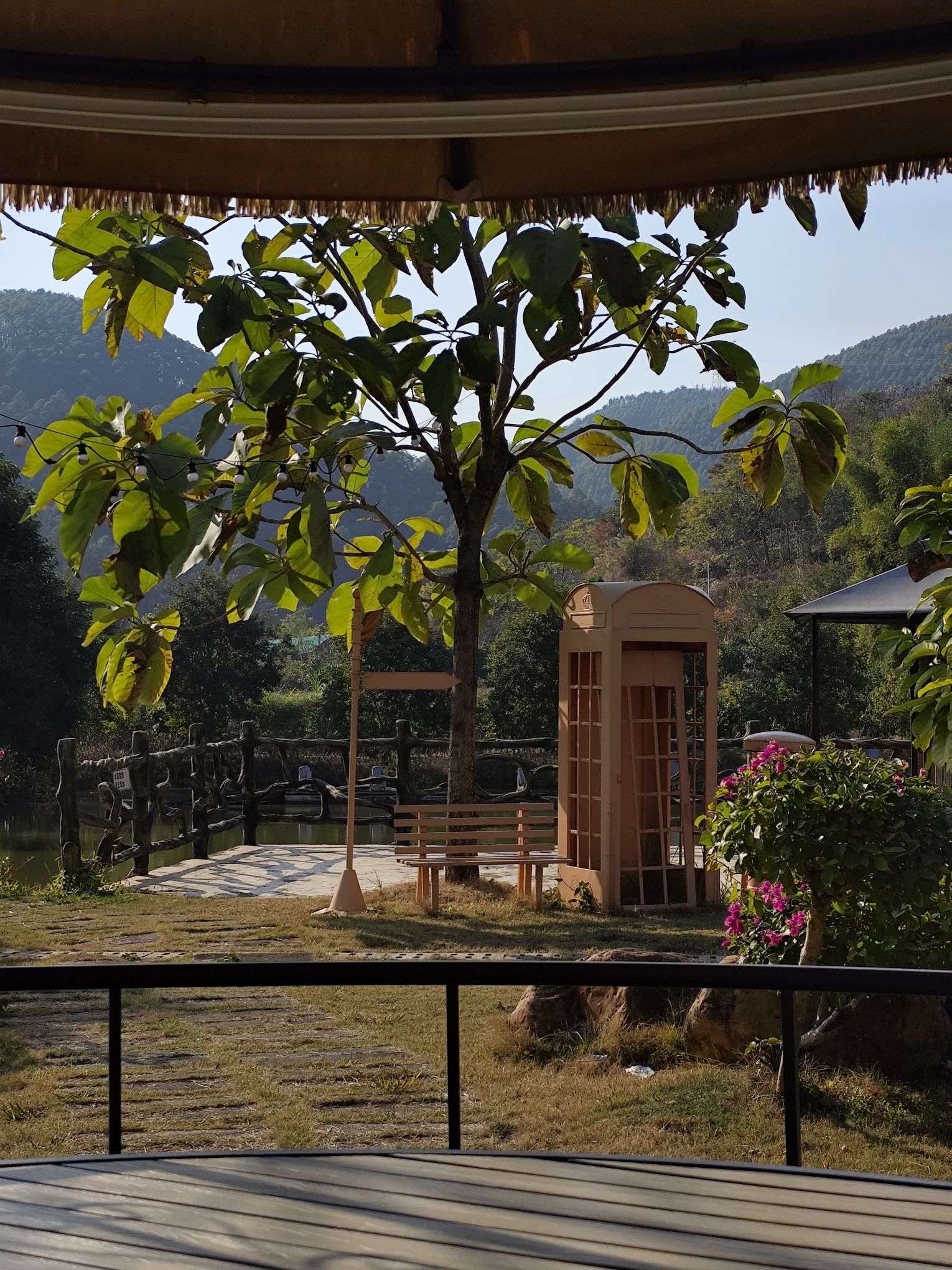 四会桔子景区旅行图片 2