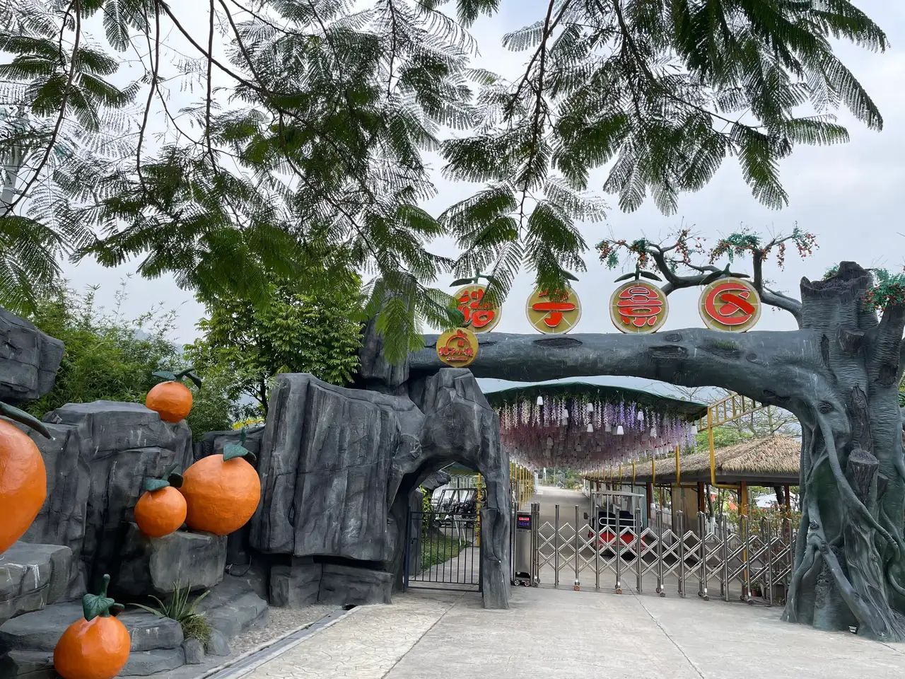 四会桔子景区旅行图片 1