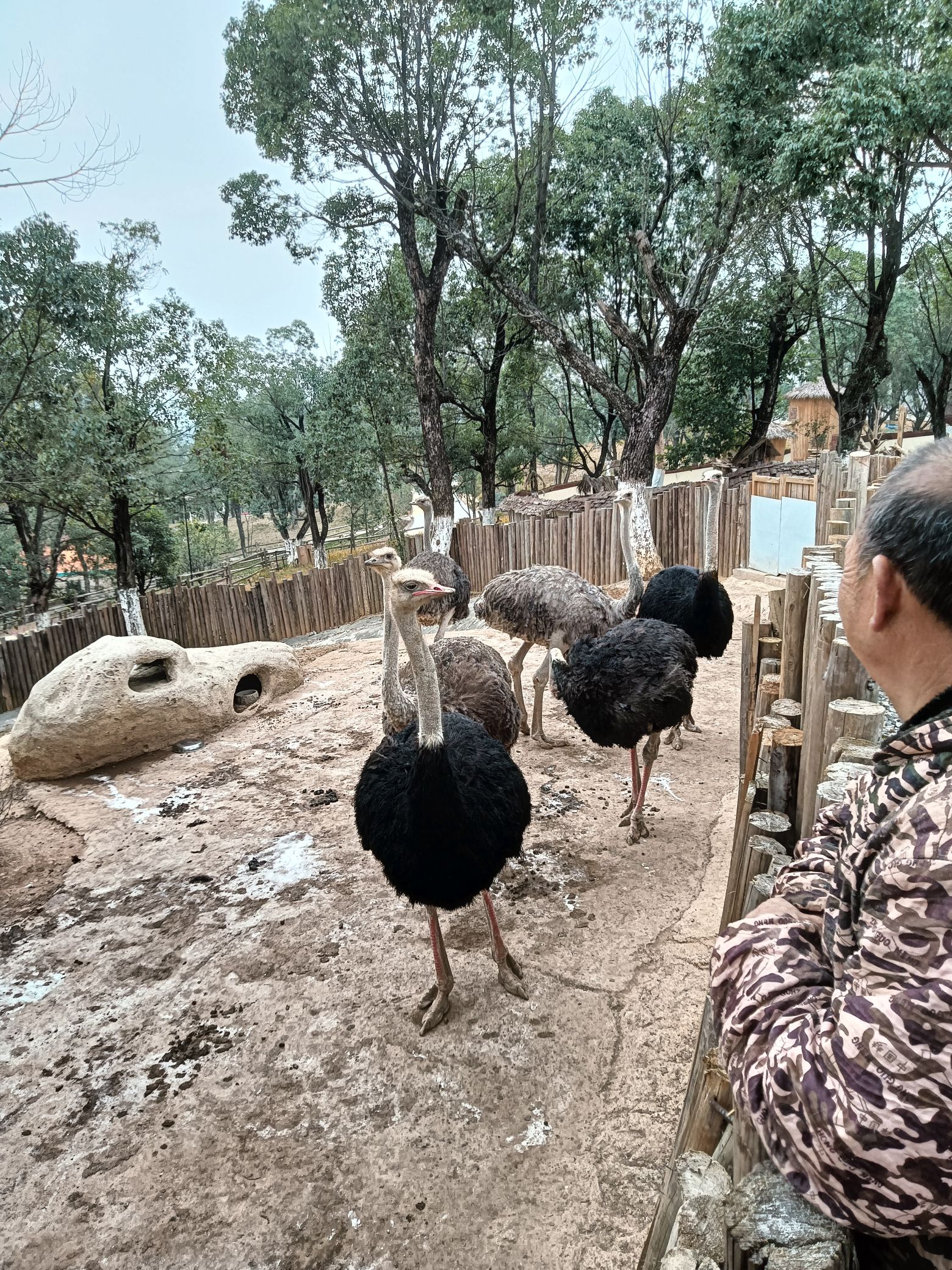 中国花湖谷景区旅行图片 3