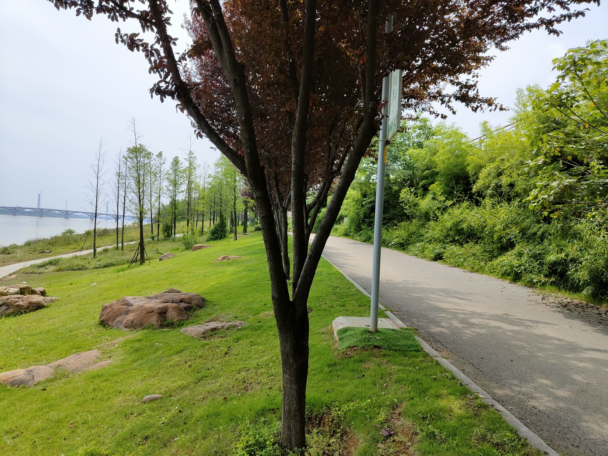 雨湖区法治公园旅行图片 1