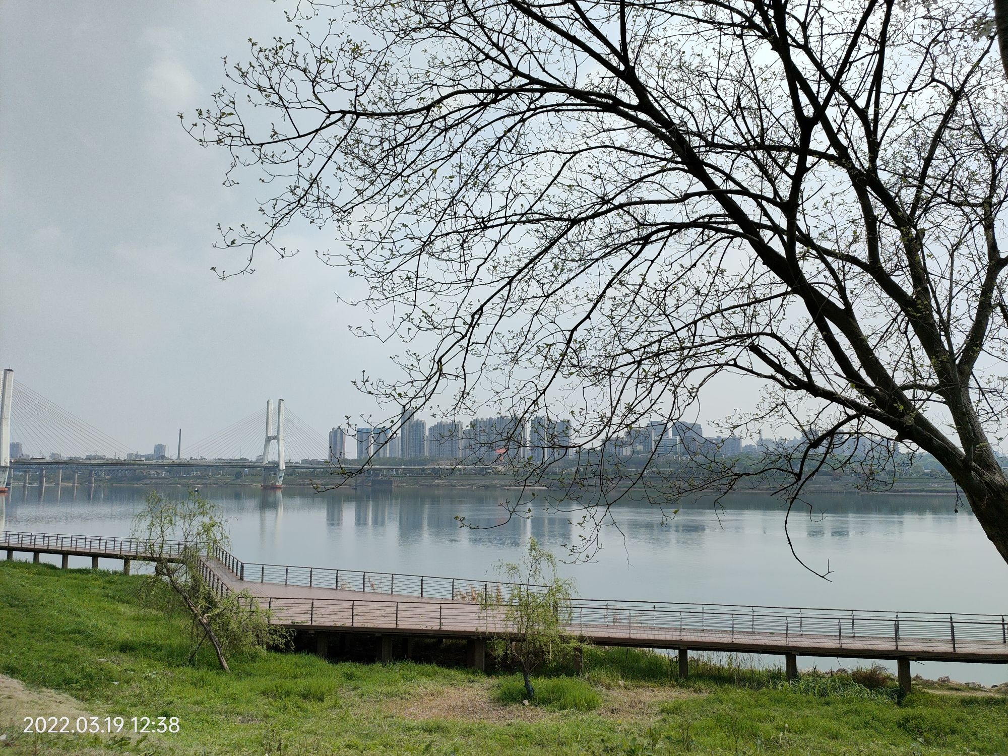 雨湖区法治公园旅行图片 3