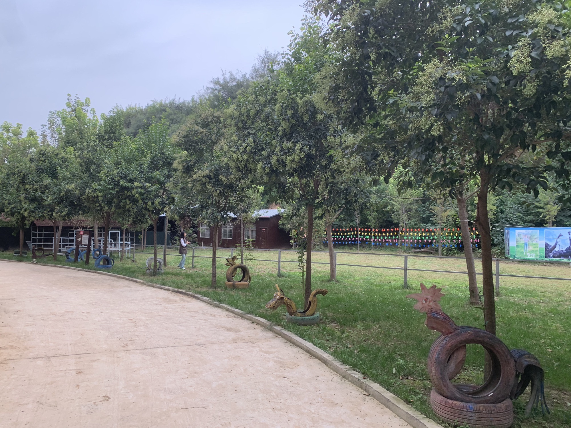 鸵鸟谷旅行图片 3