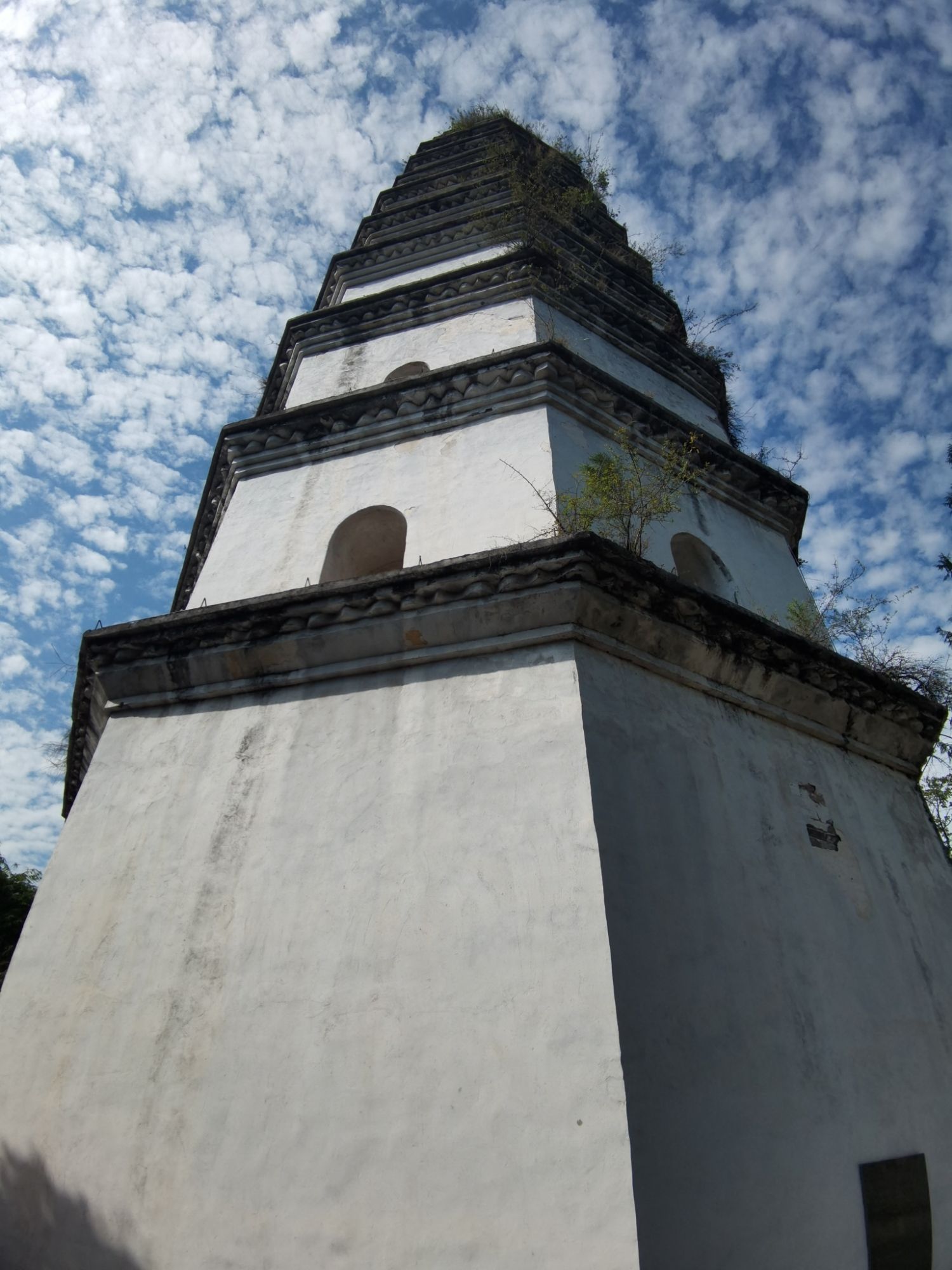 凌云塔旅行图片 2
