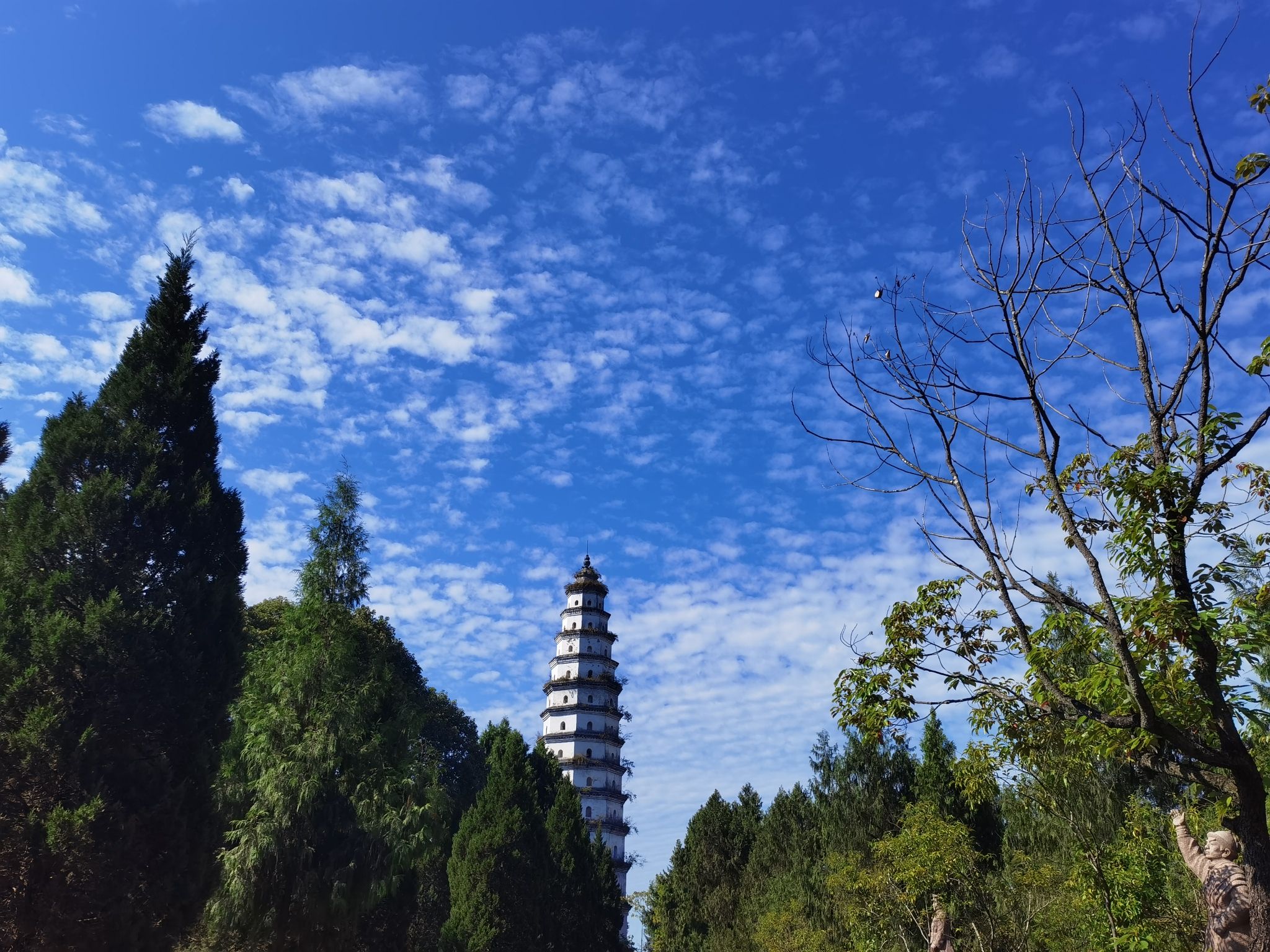 凌云塔旅行图片 1