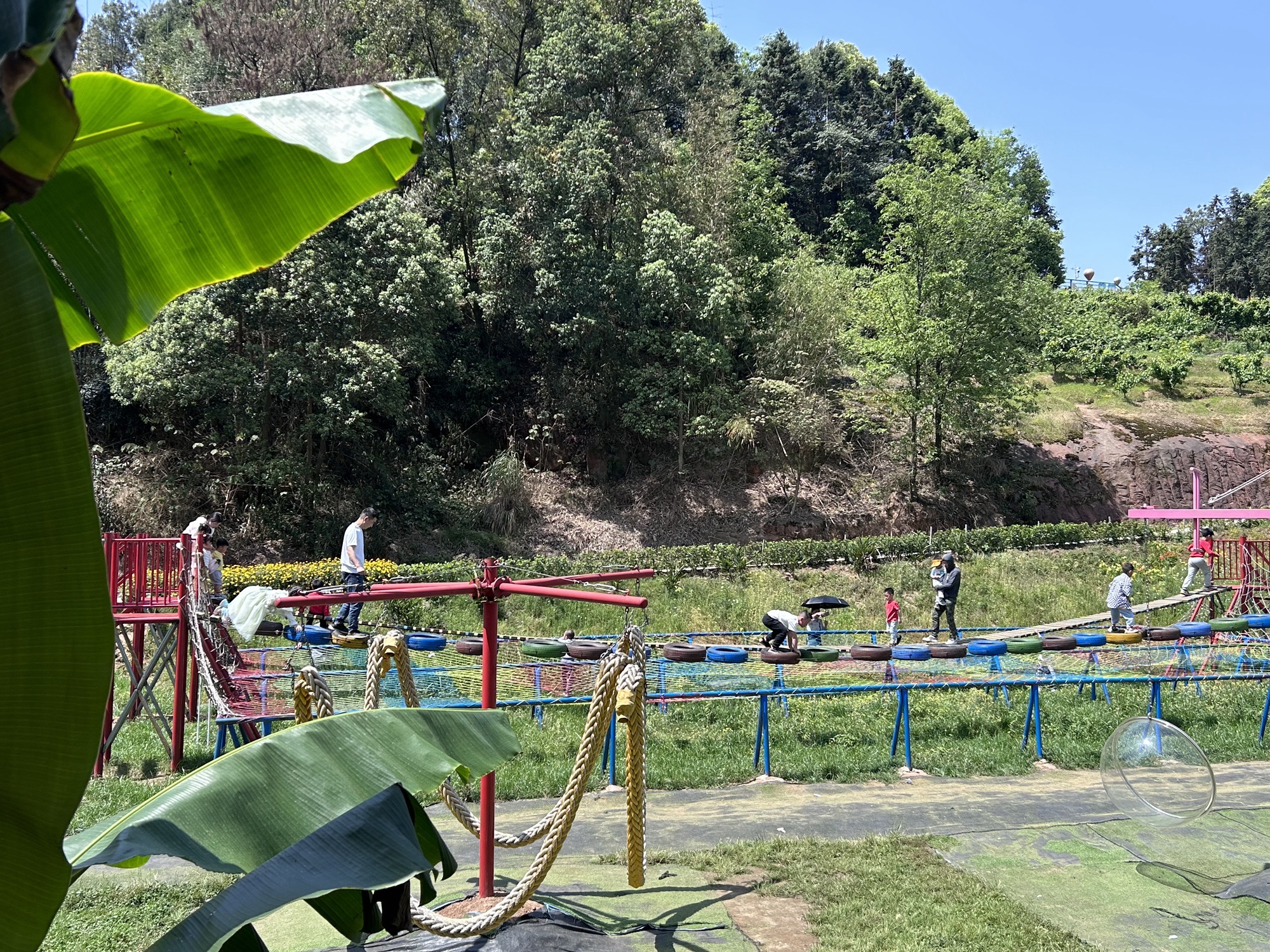 妙妙森林农业科普乐园旅行图片 1
