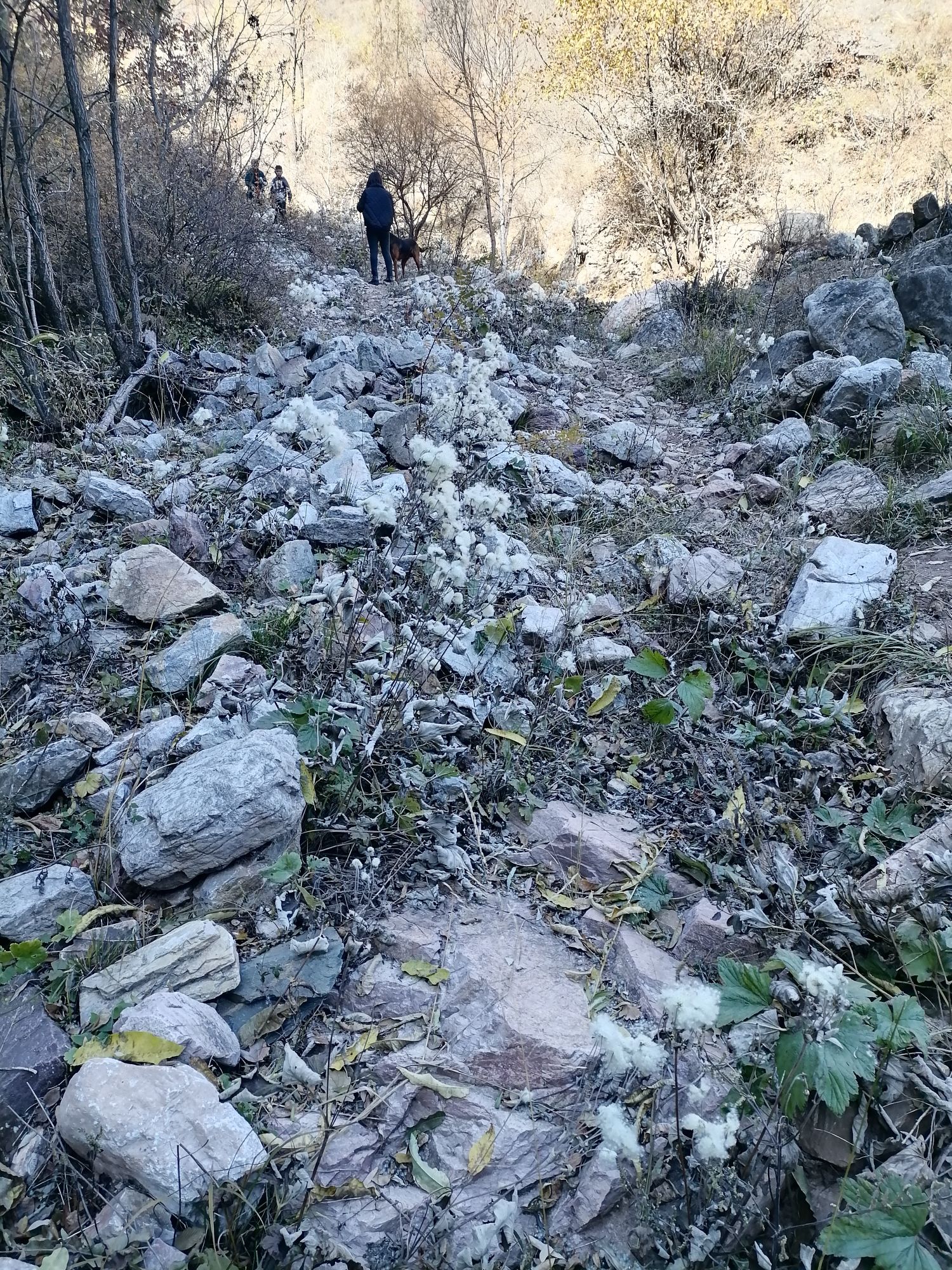 定襄县东峪风景区旅行图片 1