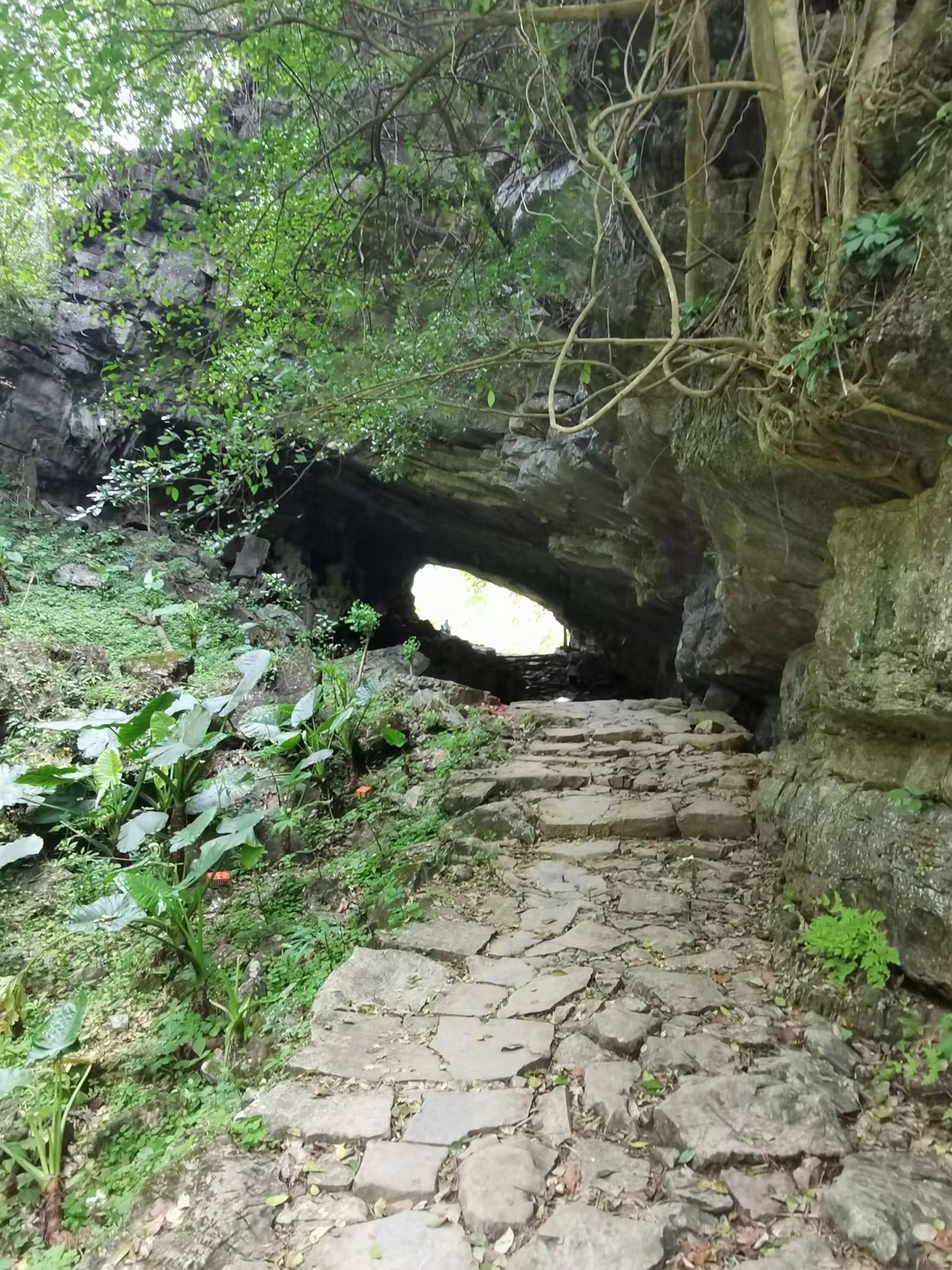 穿岩古道旅行图片 1