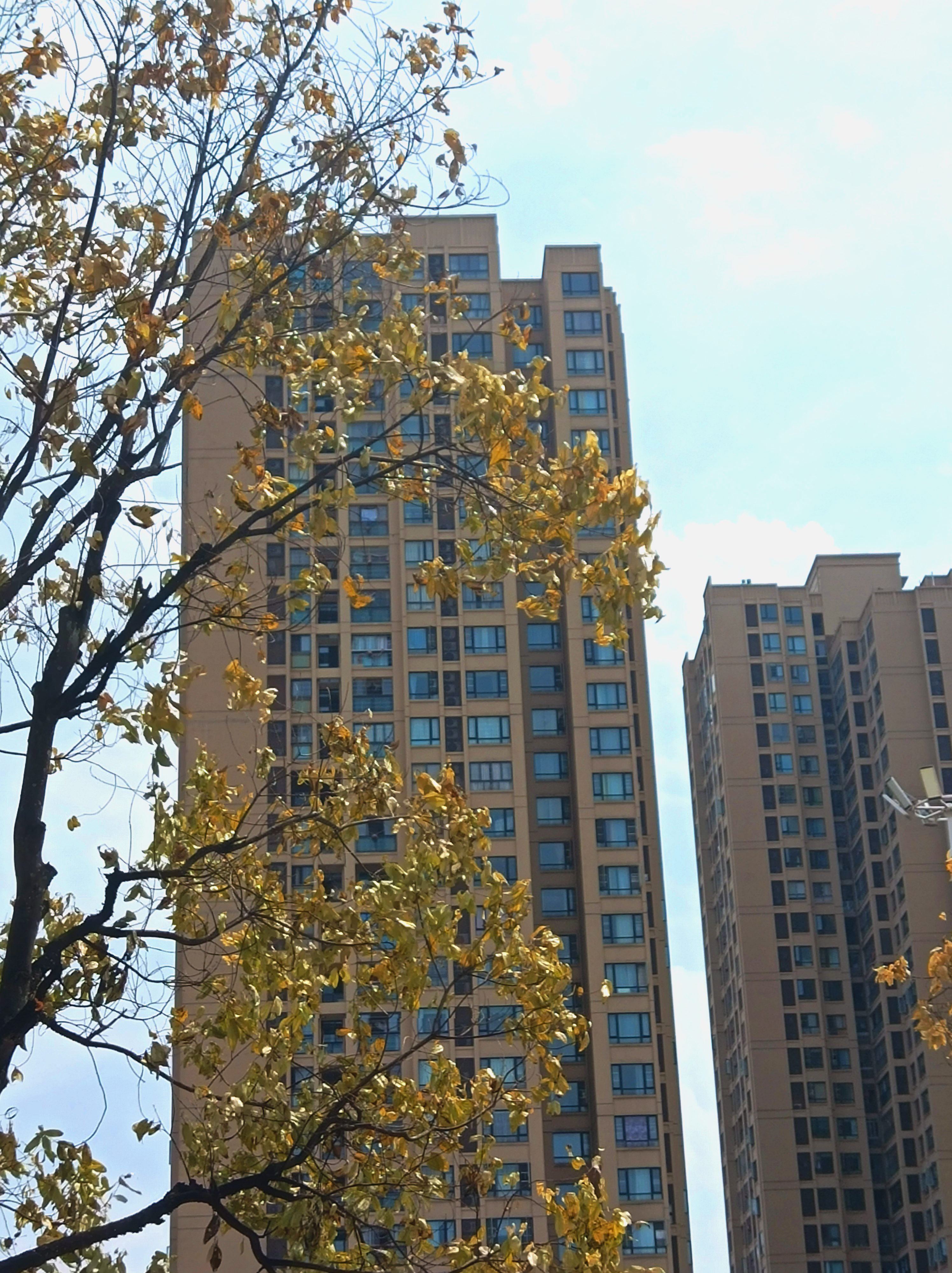 龙水文化体育公园旅行图片 1