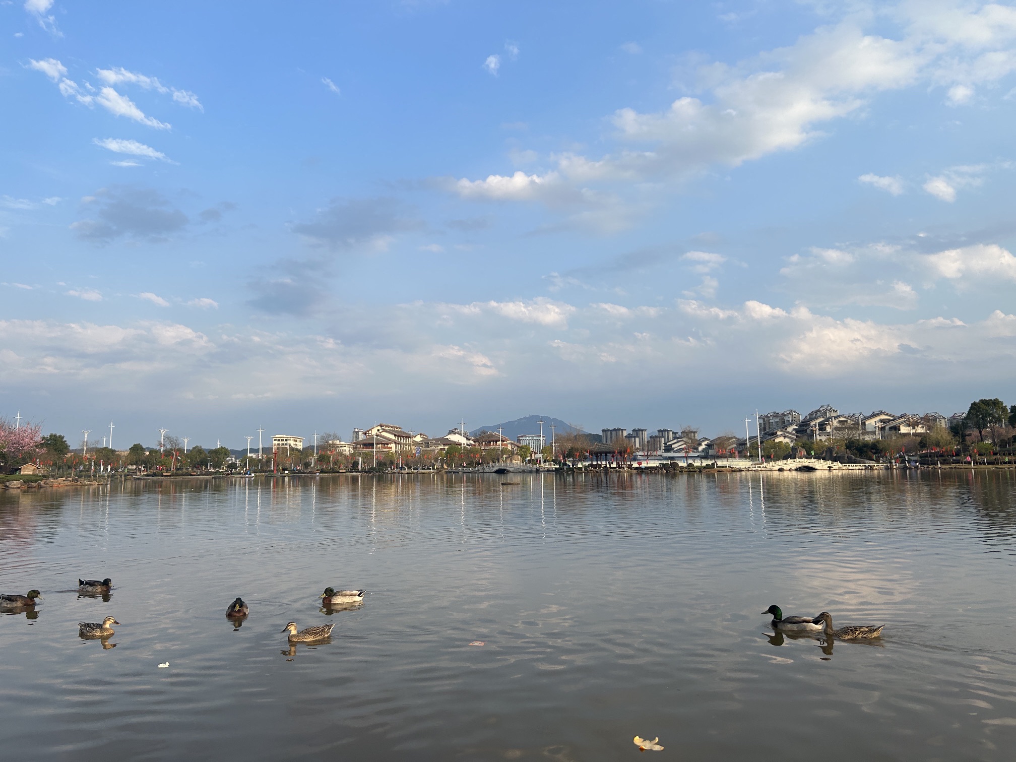 水之厅公园旅行图片 2