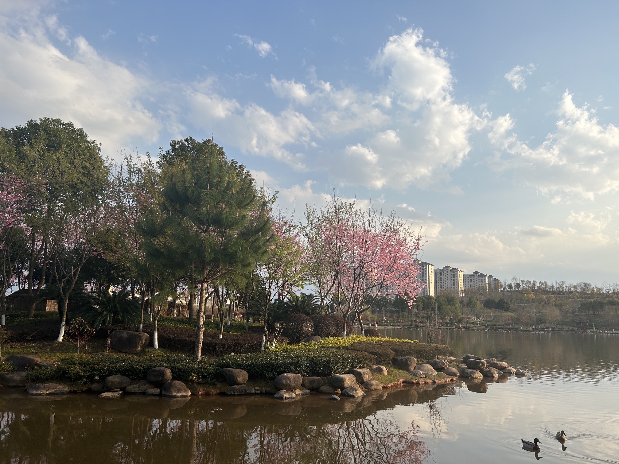 水之厅公园旅行图片 3