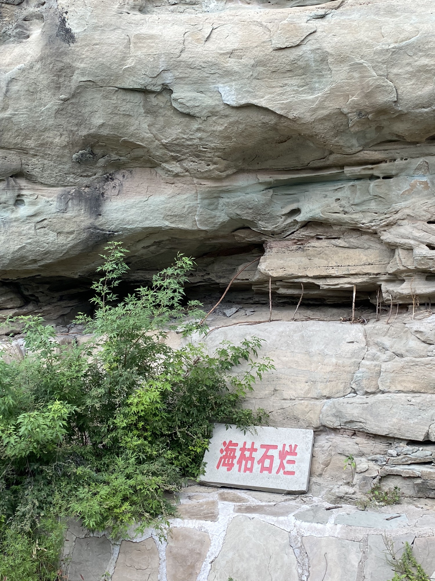 中央公园旅行图片 1