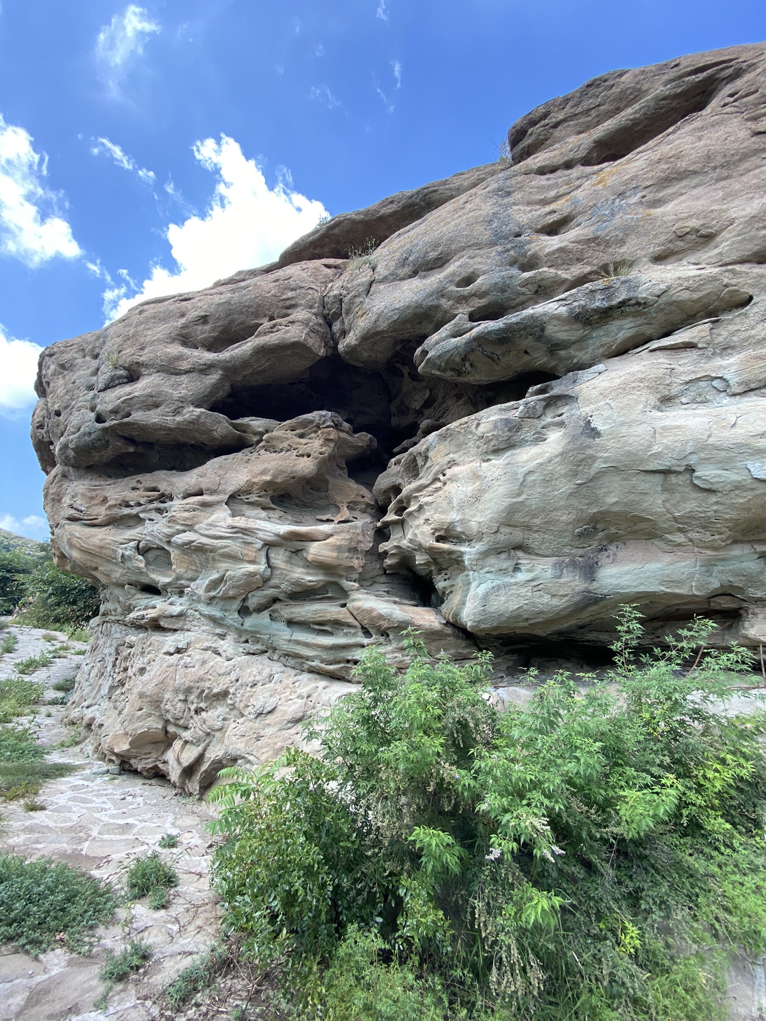 中央公园旅行图片 2