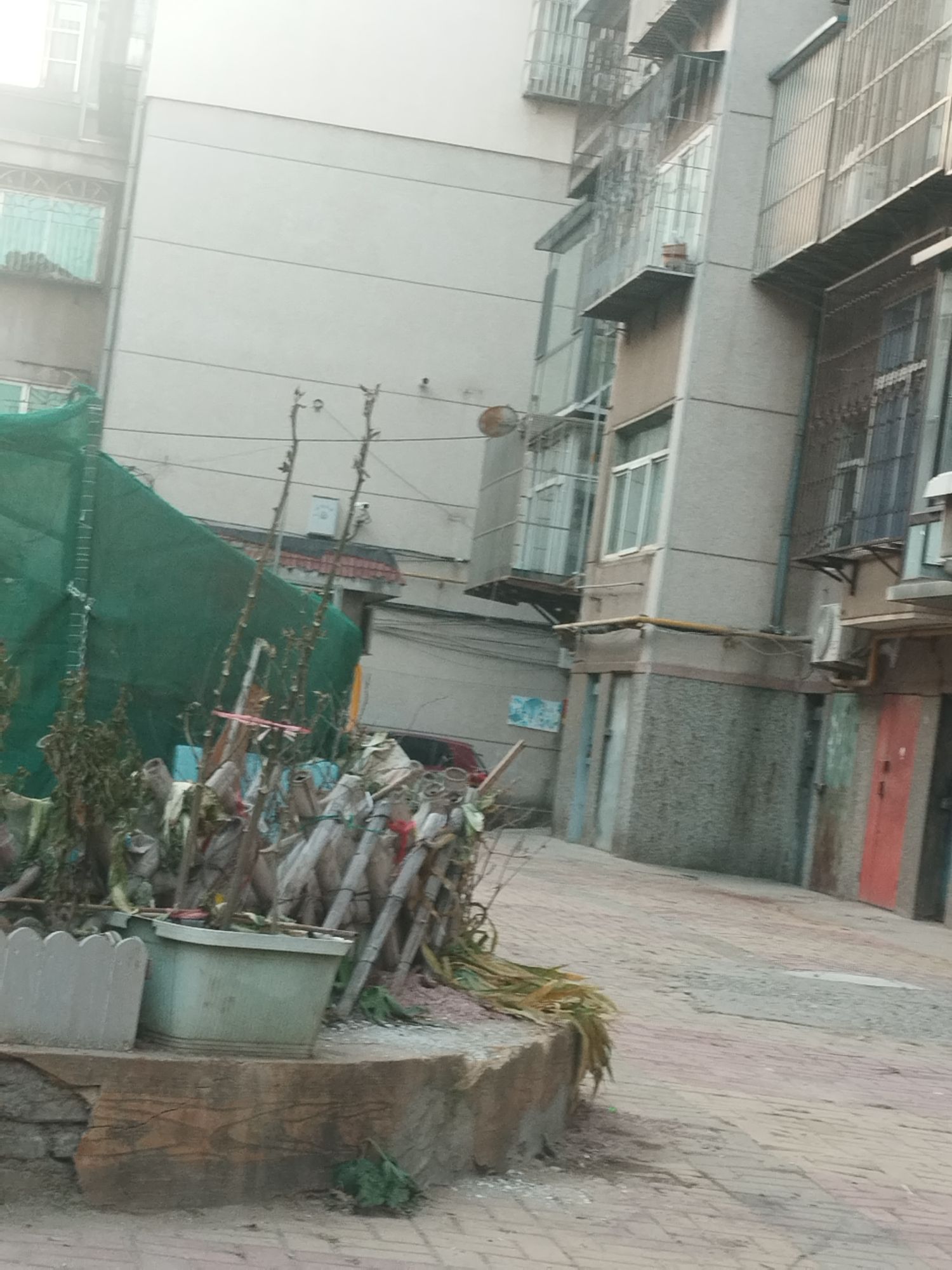 大连金州古城旅行图片 1