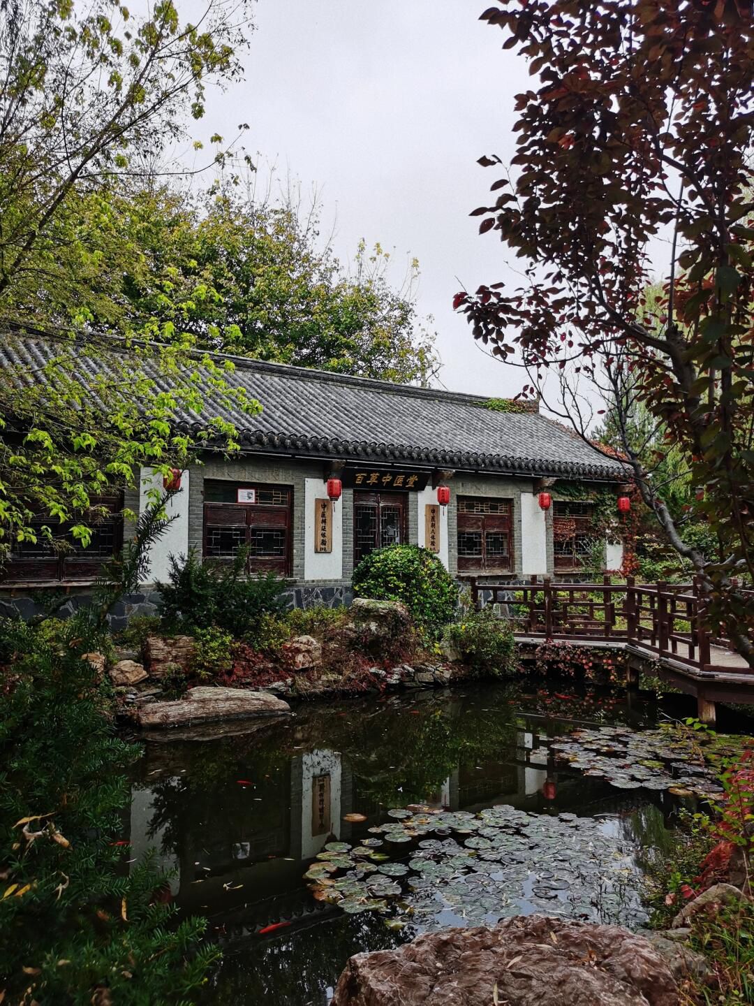 大连金州古城旅行图片 2