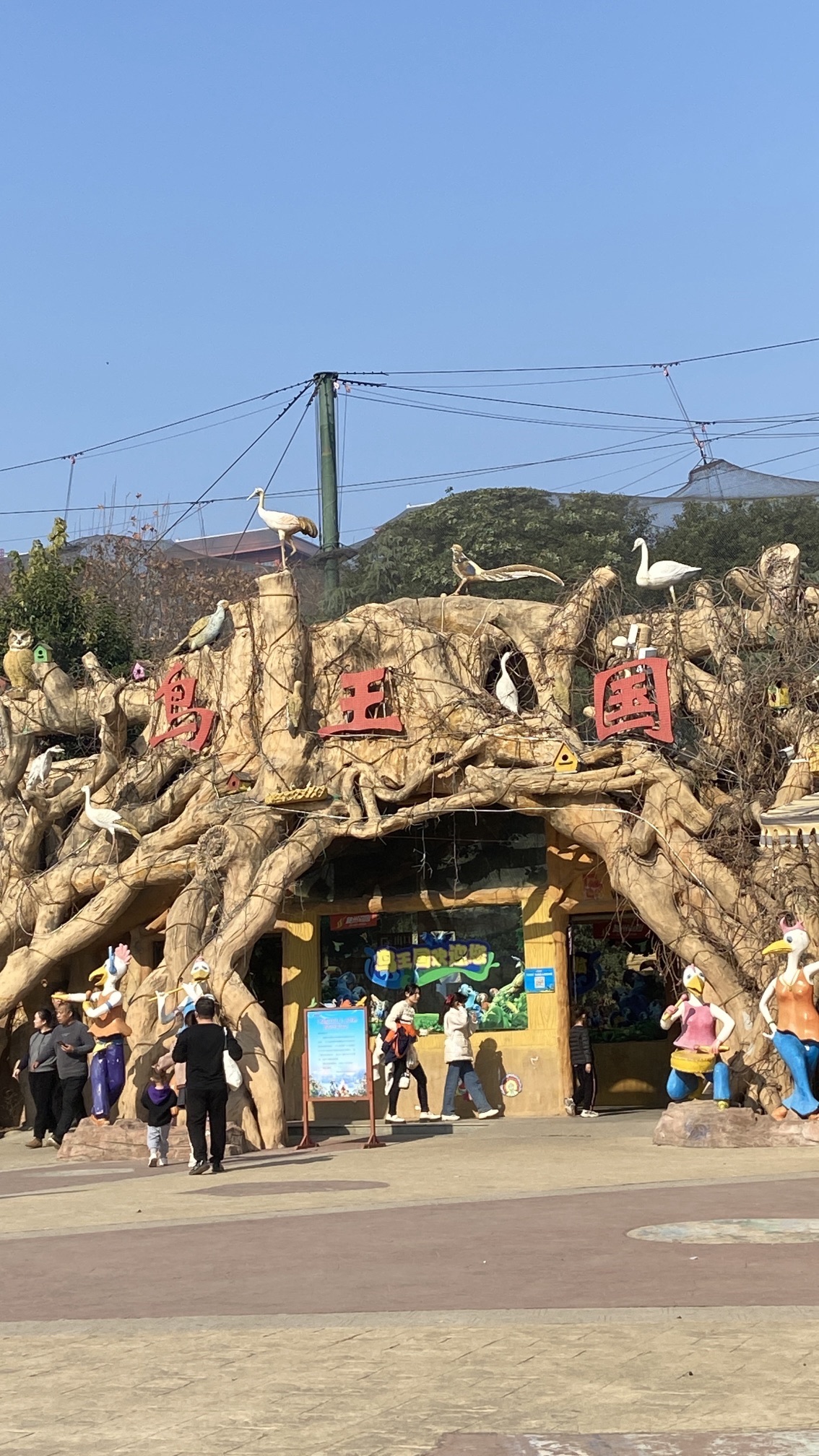 河上街运动神兽旅行图片 3