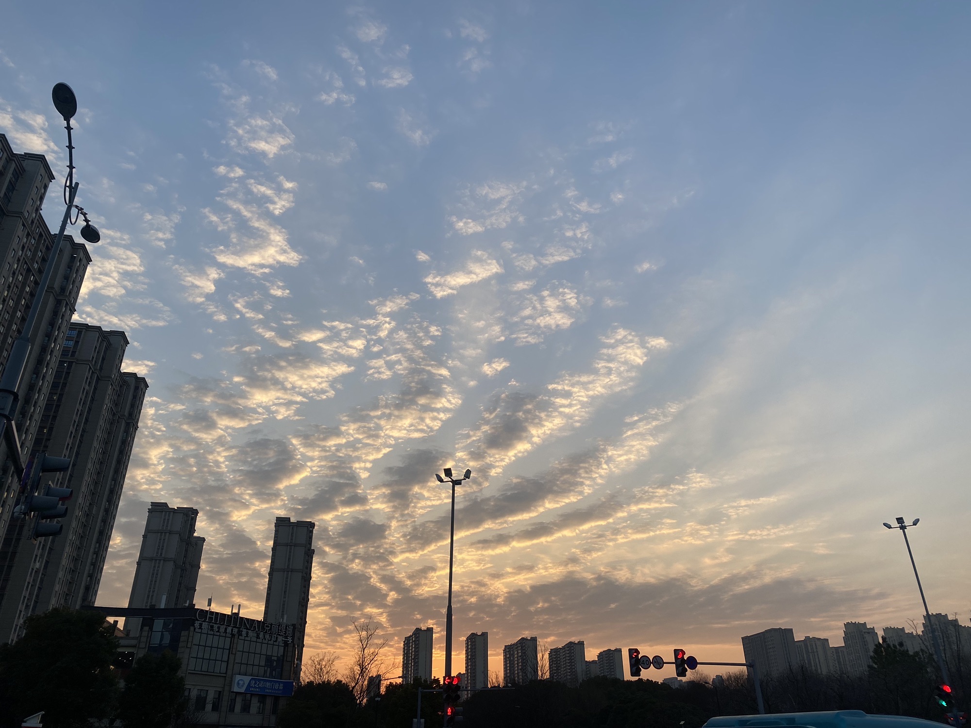 东亭体育运动公园旅行图片 2